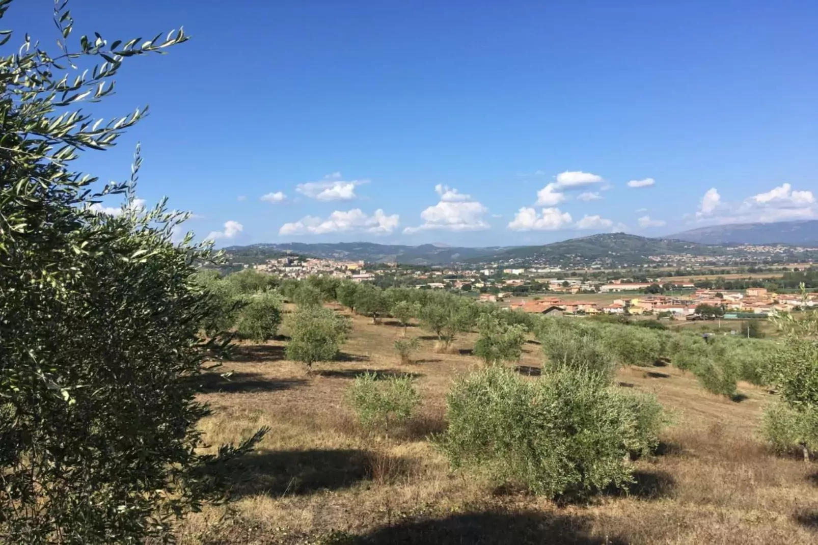 Monolocale-Areas within 20km in summer