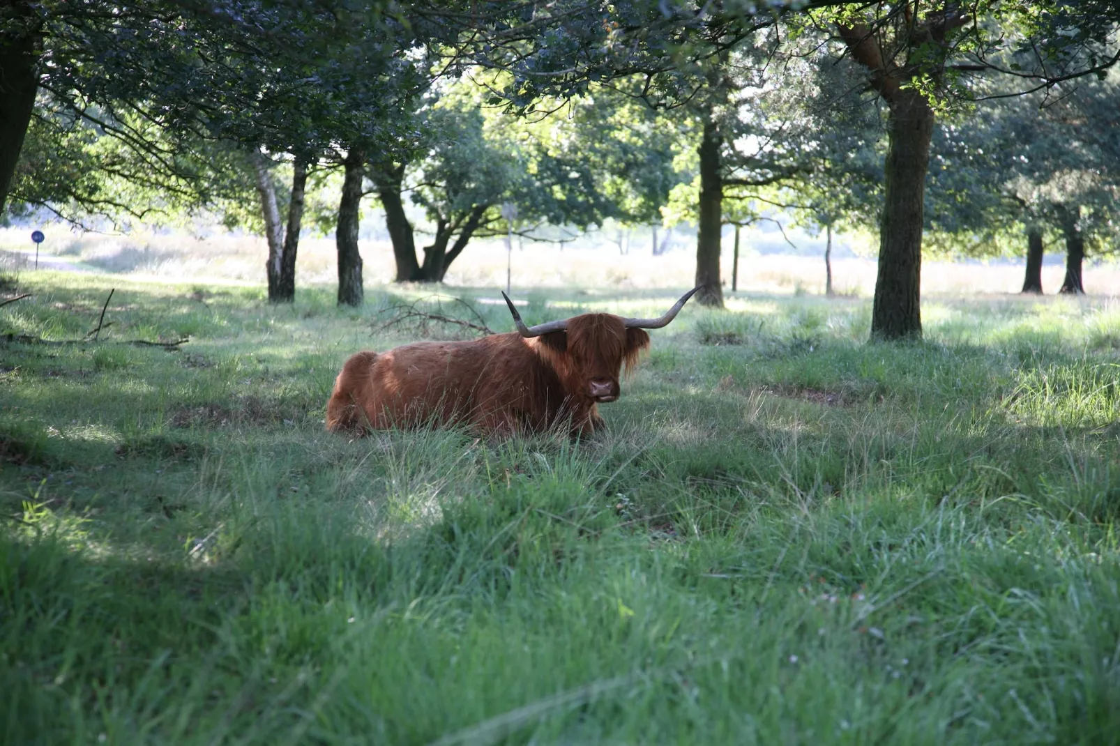 Landgoed Het Grote Zand 8-Areas summer 1km