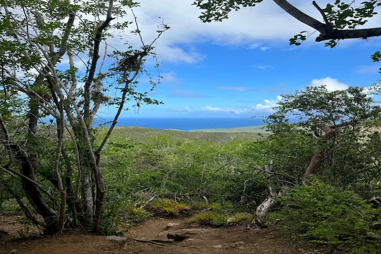 Caribbean Sea Coral Estate 6 pers-Areas summer 20km