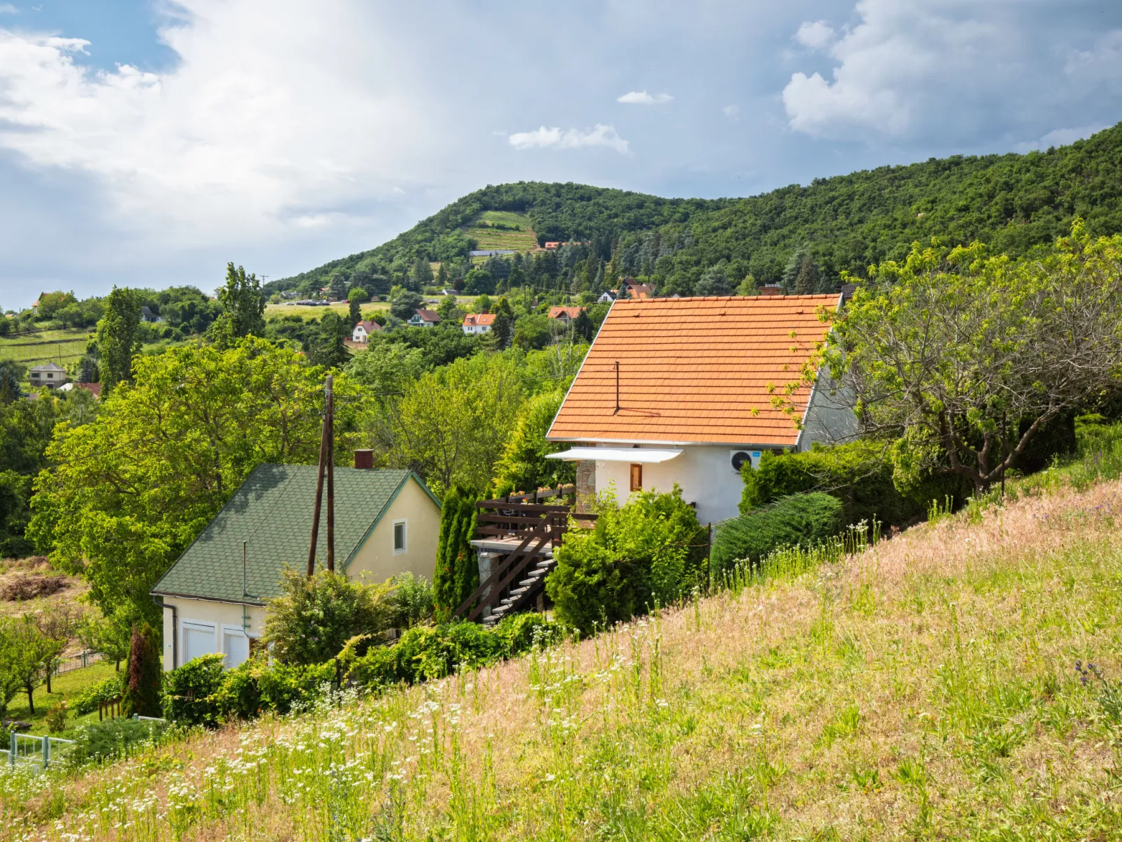 Kopacsi-Draußen