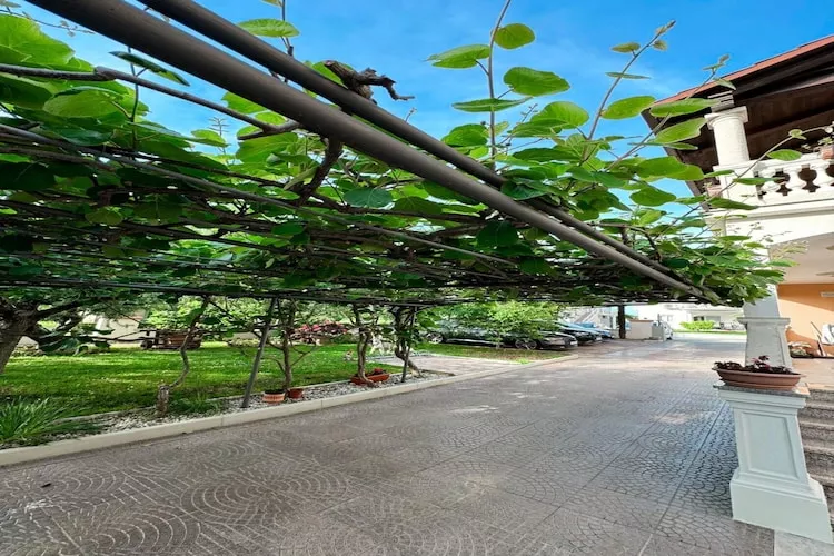 Premium Apartment Seaview-Areas summer 1km