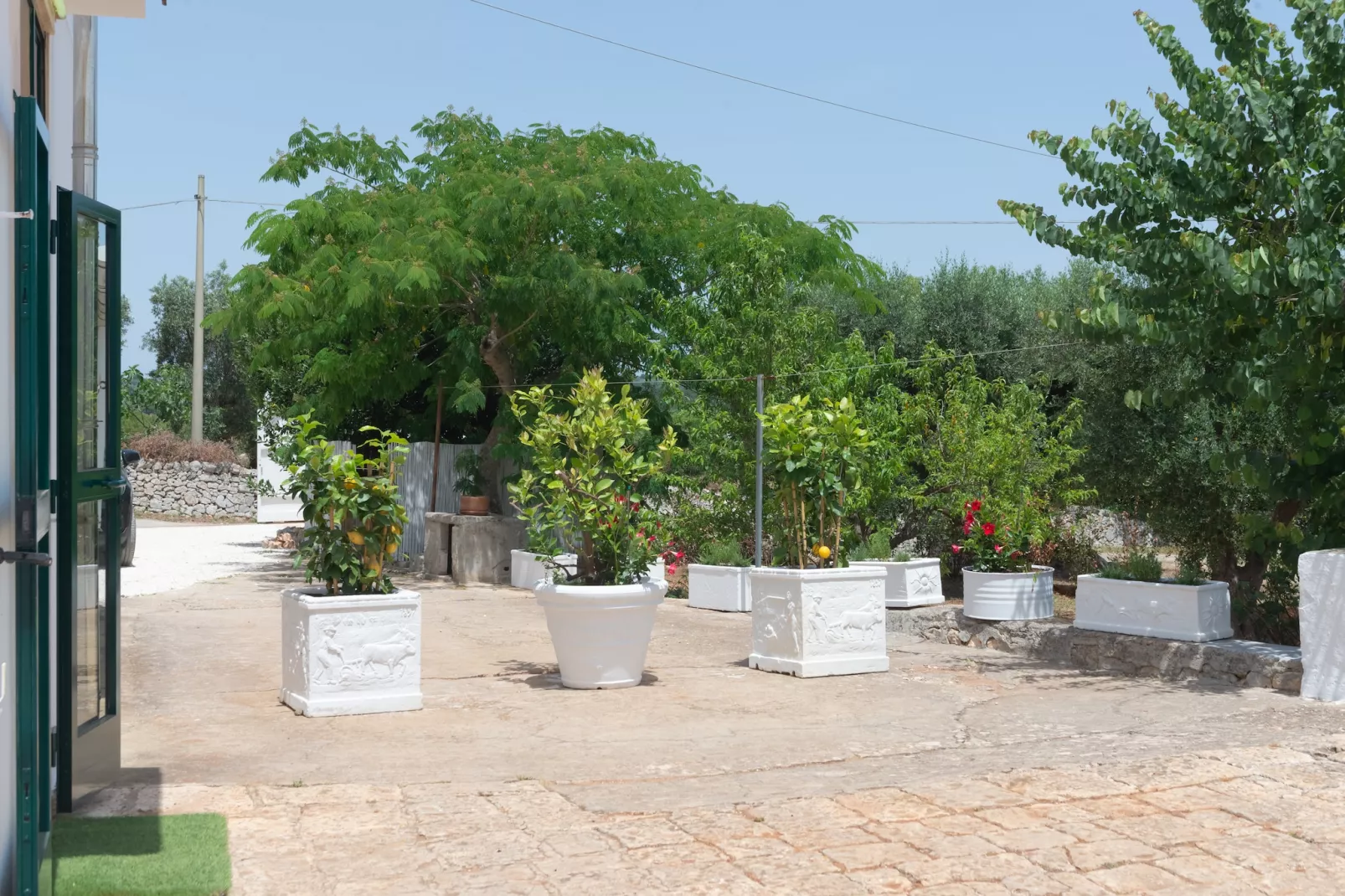 Lamia Papo in Ostuni-Gärten Sommer