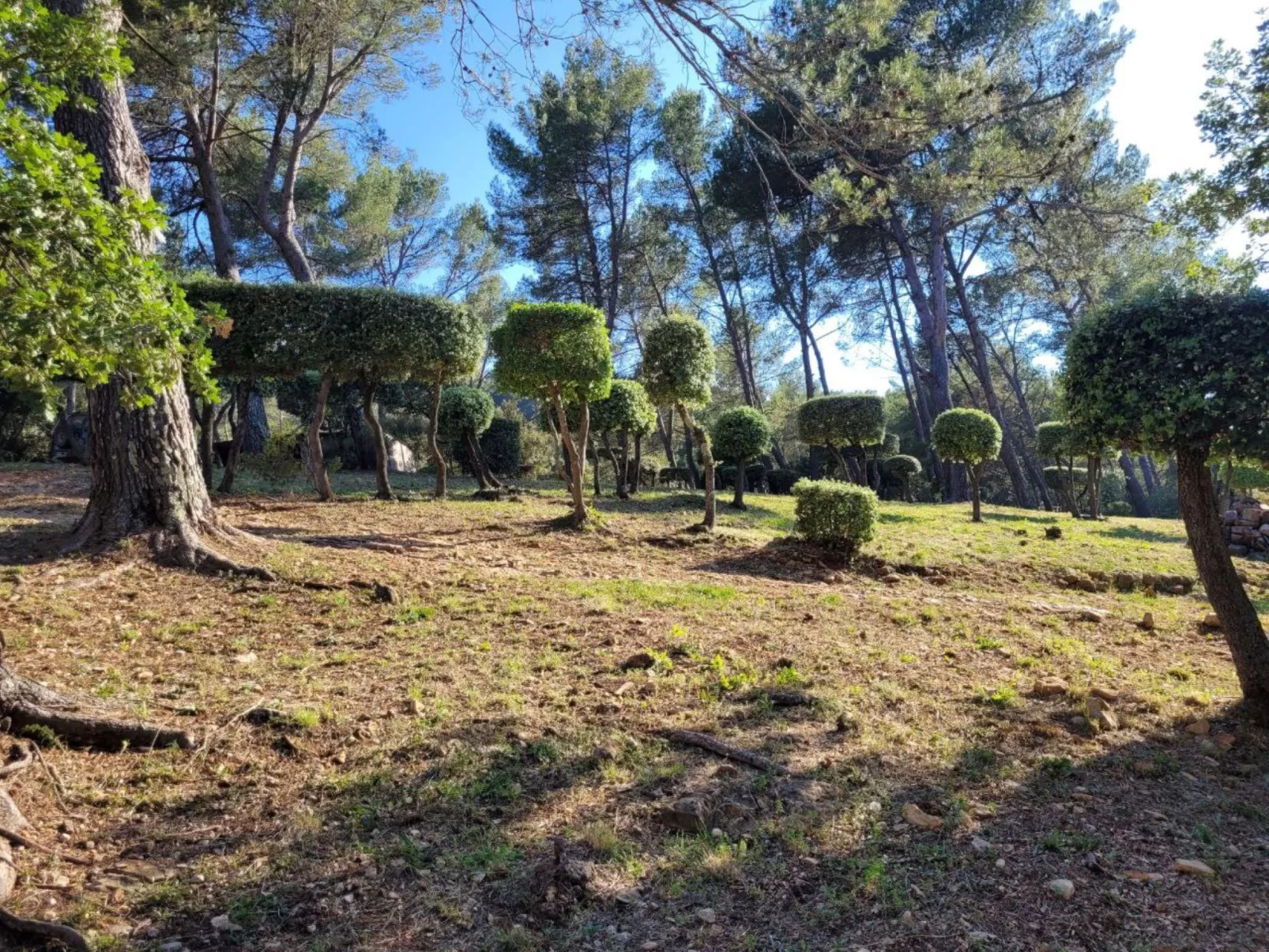Villa au coeur de la Foret-Outside