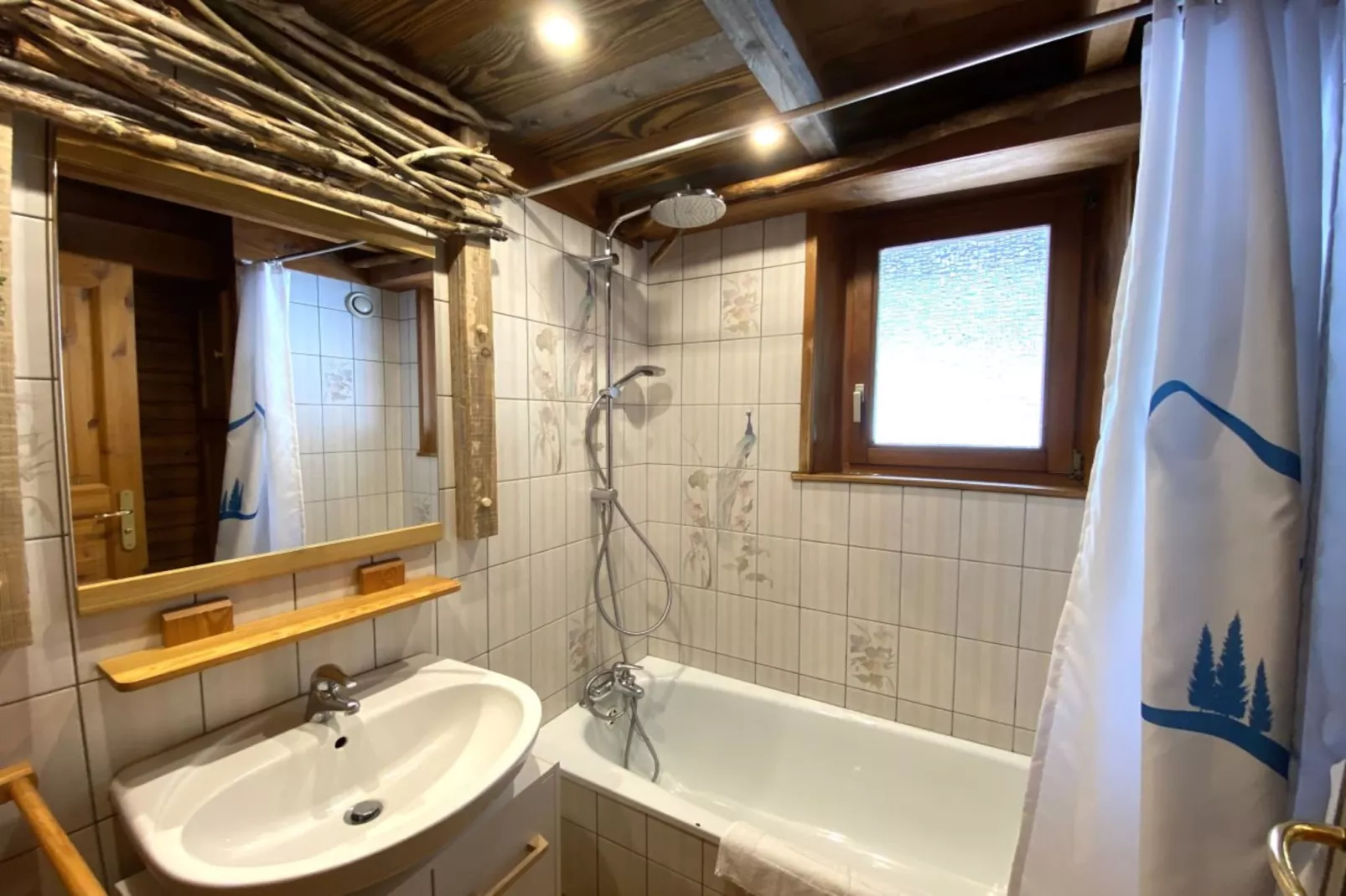 LE RENNE  Chalet en bois au calme avec SPA Jacuzzi-Salle de bain
