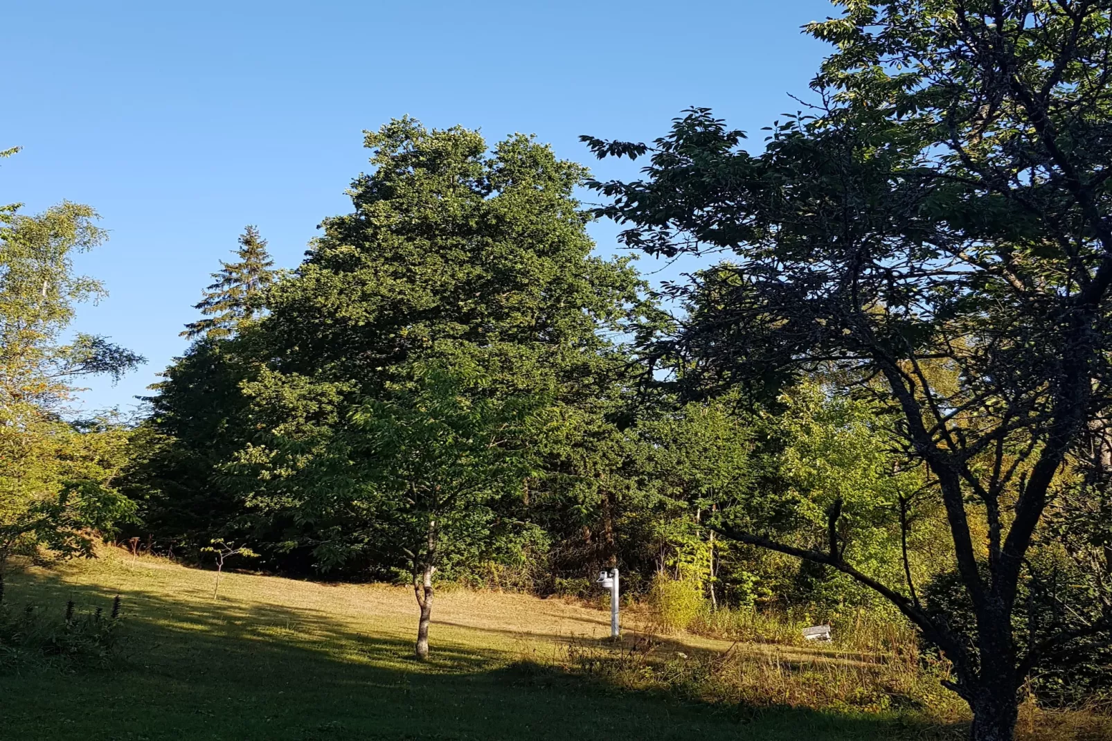Weidenhäuser Mühle-Vue d'été