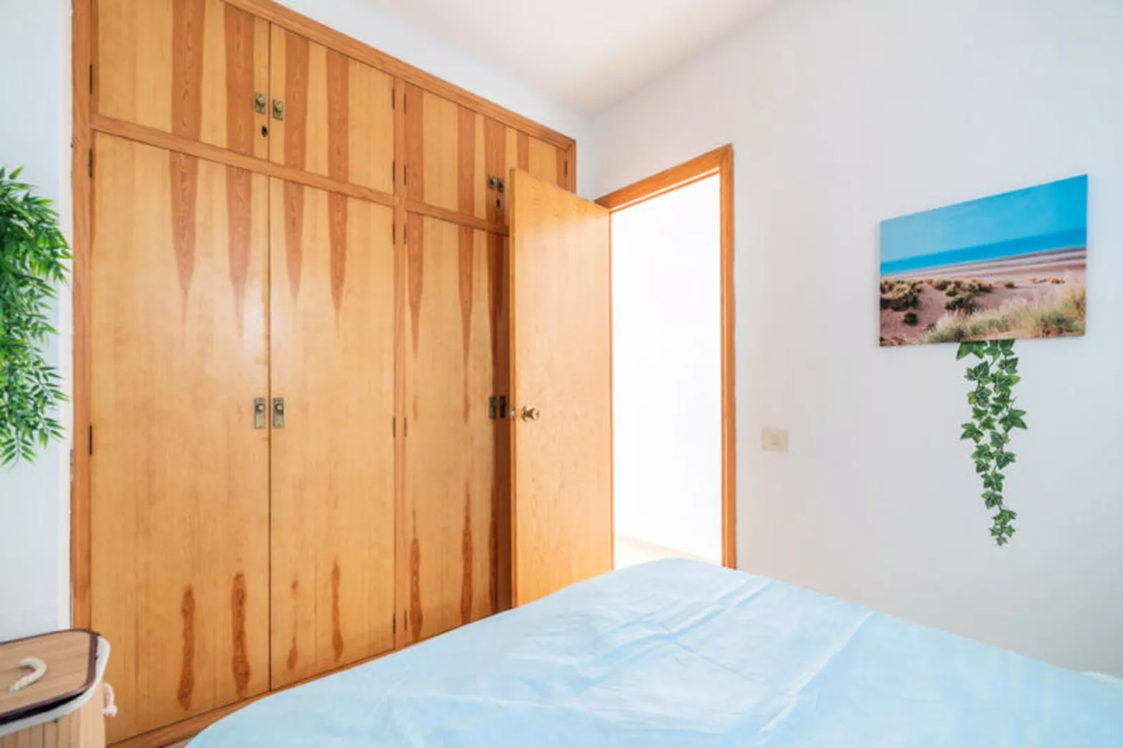 Appartements à Alcossebre-Image-tags.