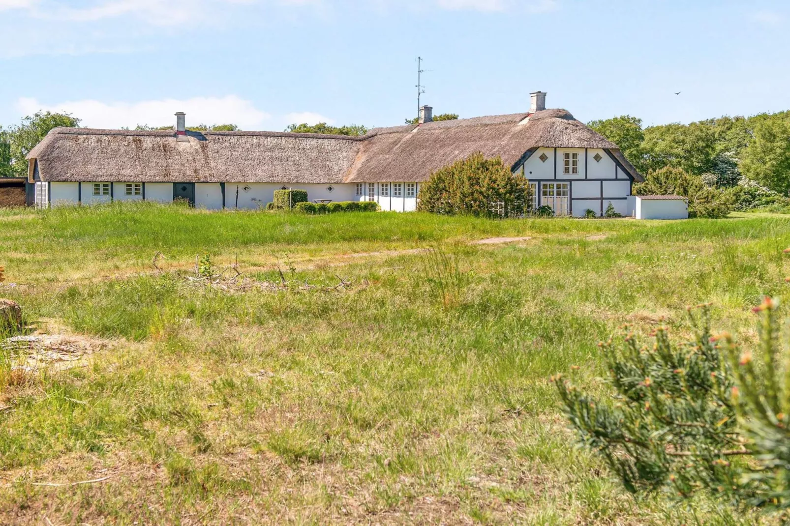 4 Sterne Ferienhaus in Læsø-Außenbereich