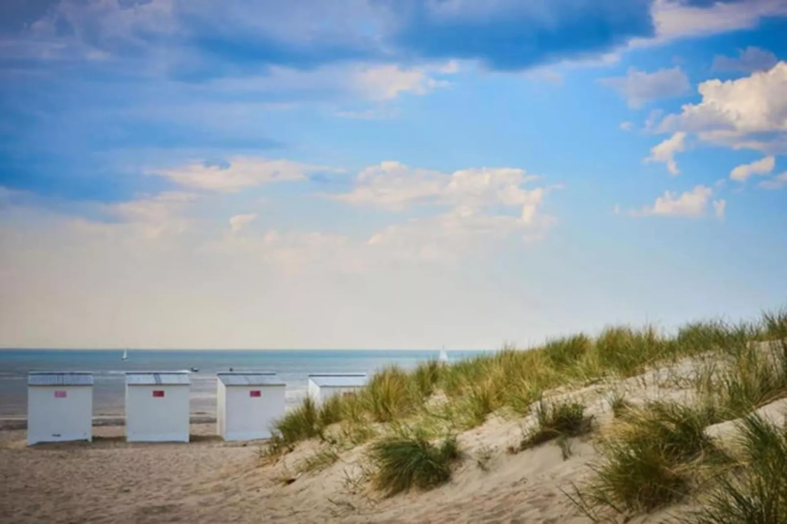 Mosselbank 0106-Areas summer 20km