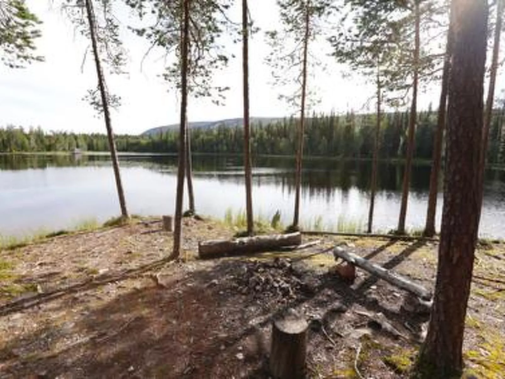 Metsä-luosto-Dehors