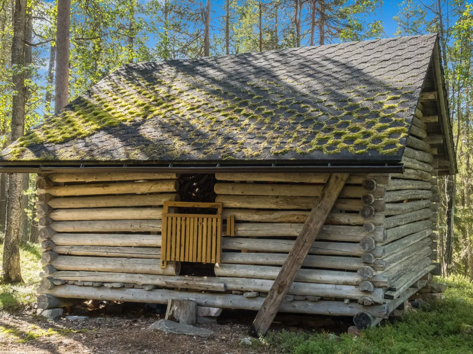 Ukkohermanni-Inside