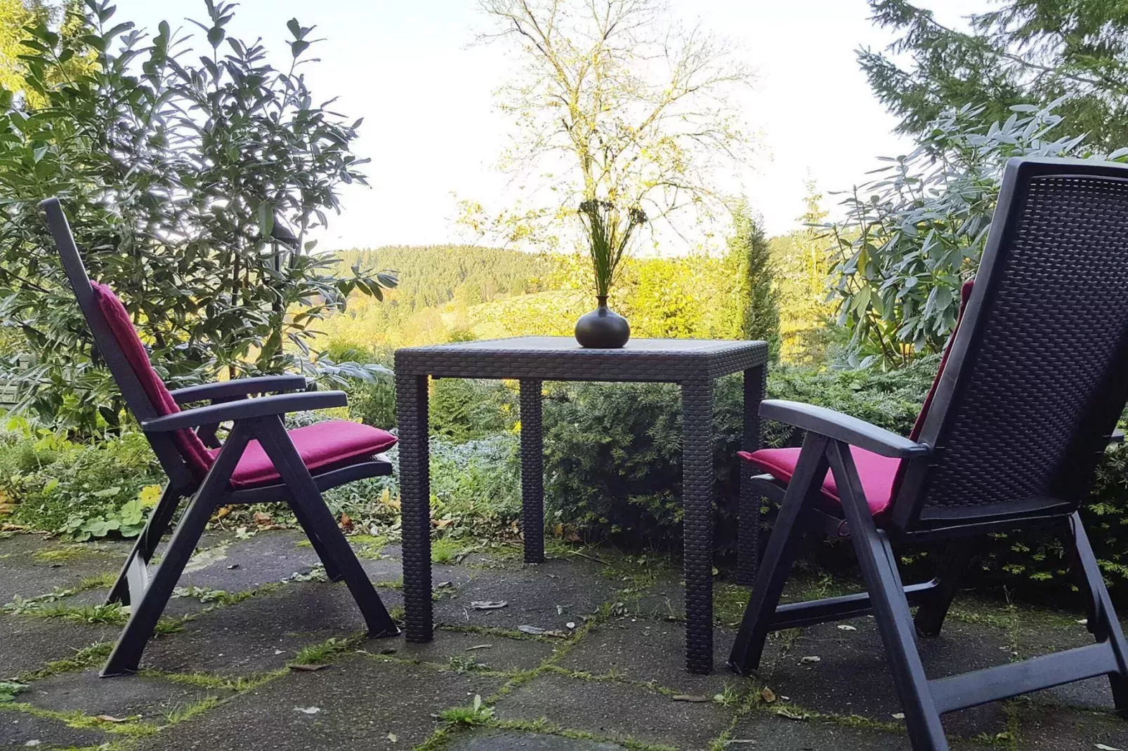 Hirschblick/Wohnung 6 4 Pers-Jardin d'été