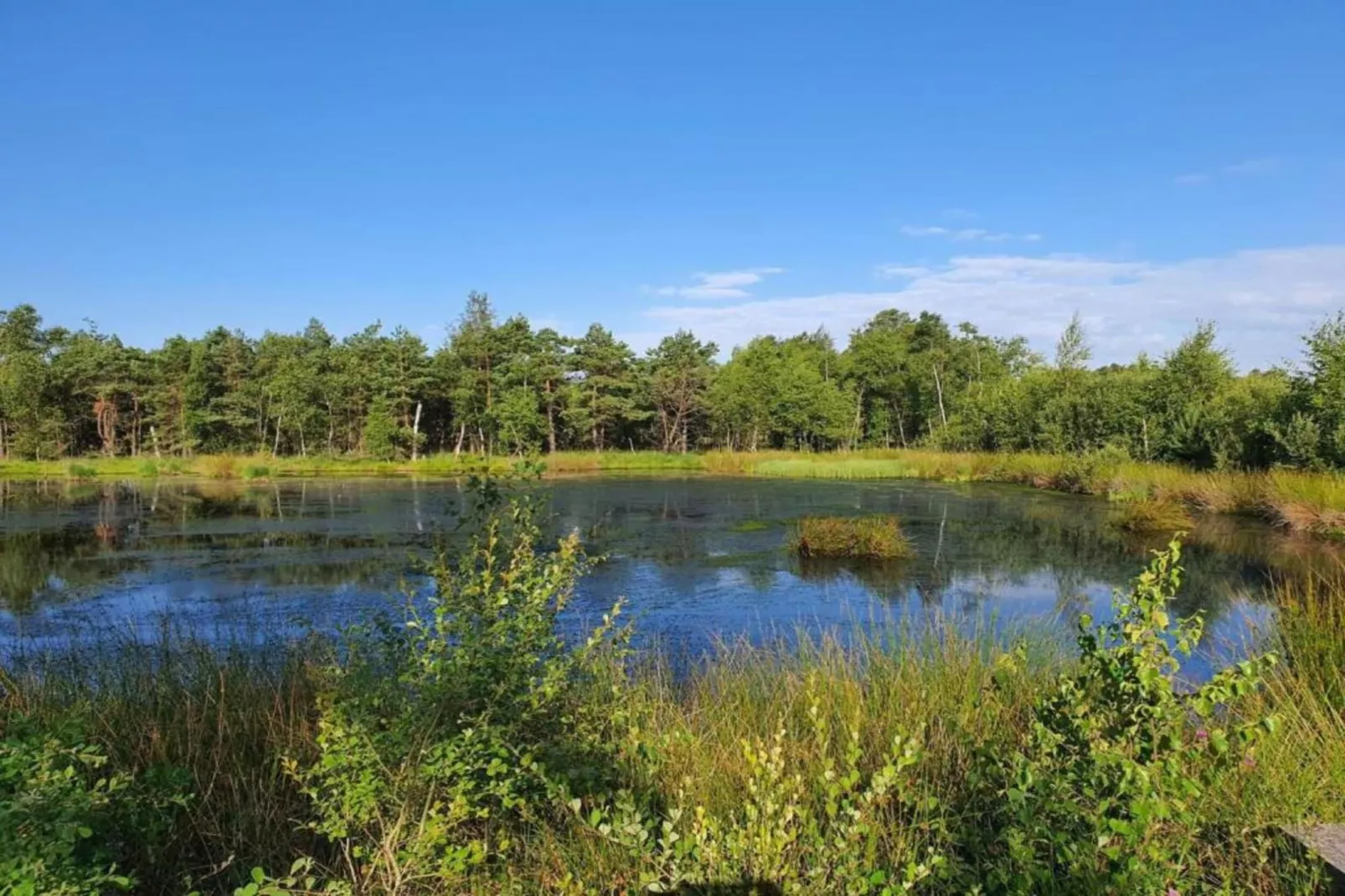 Waldsuite-Areas summer 20km