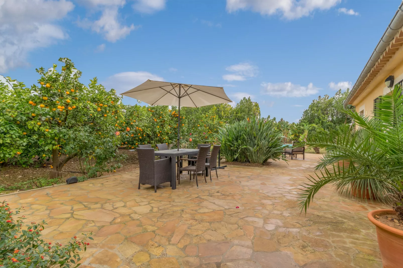Son Fornes, Finca 5StarsHome Mallorca-Terrace
