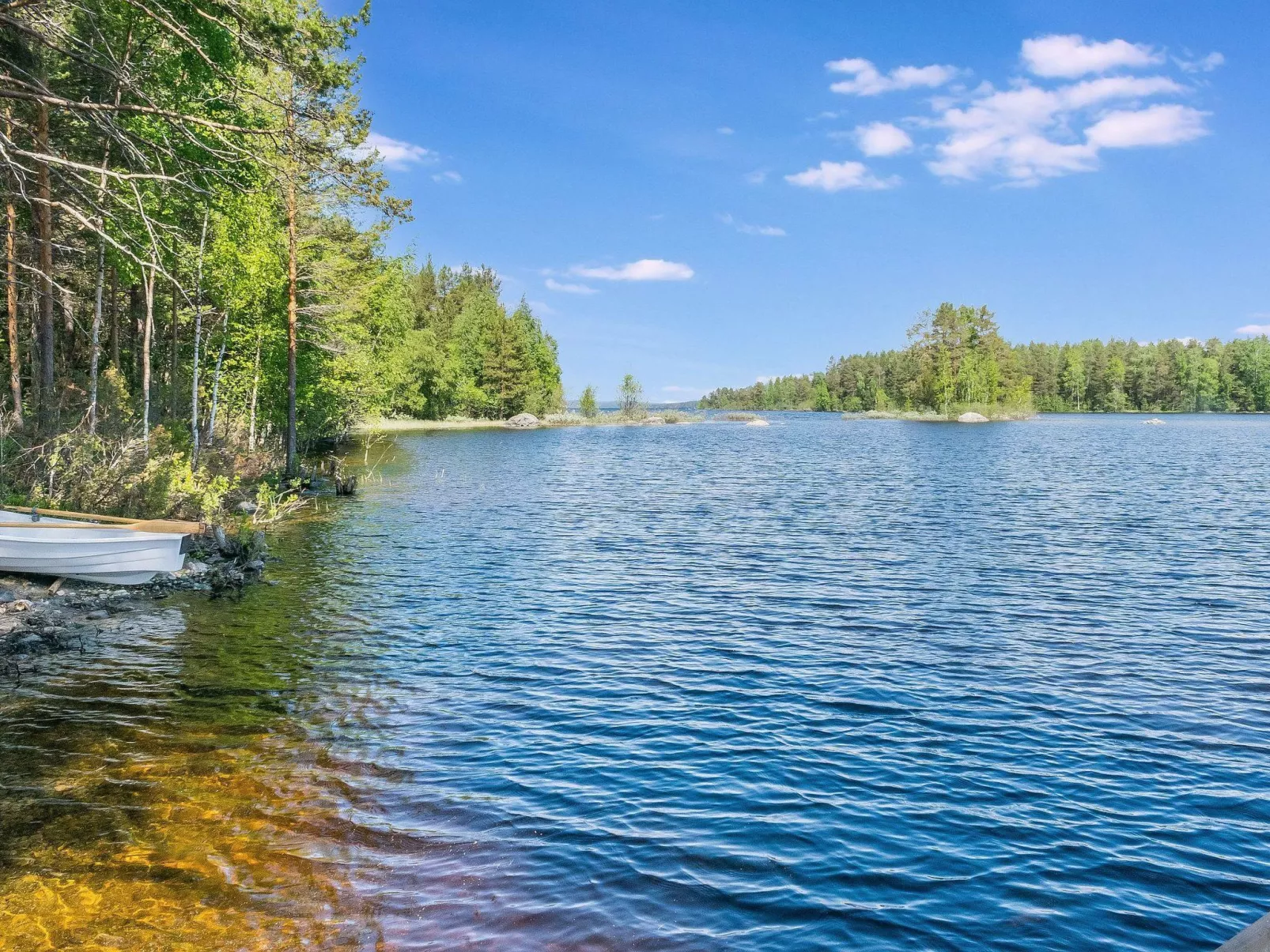Koli suurselkä 1-Draußen