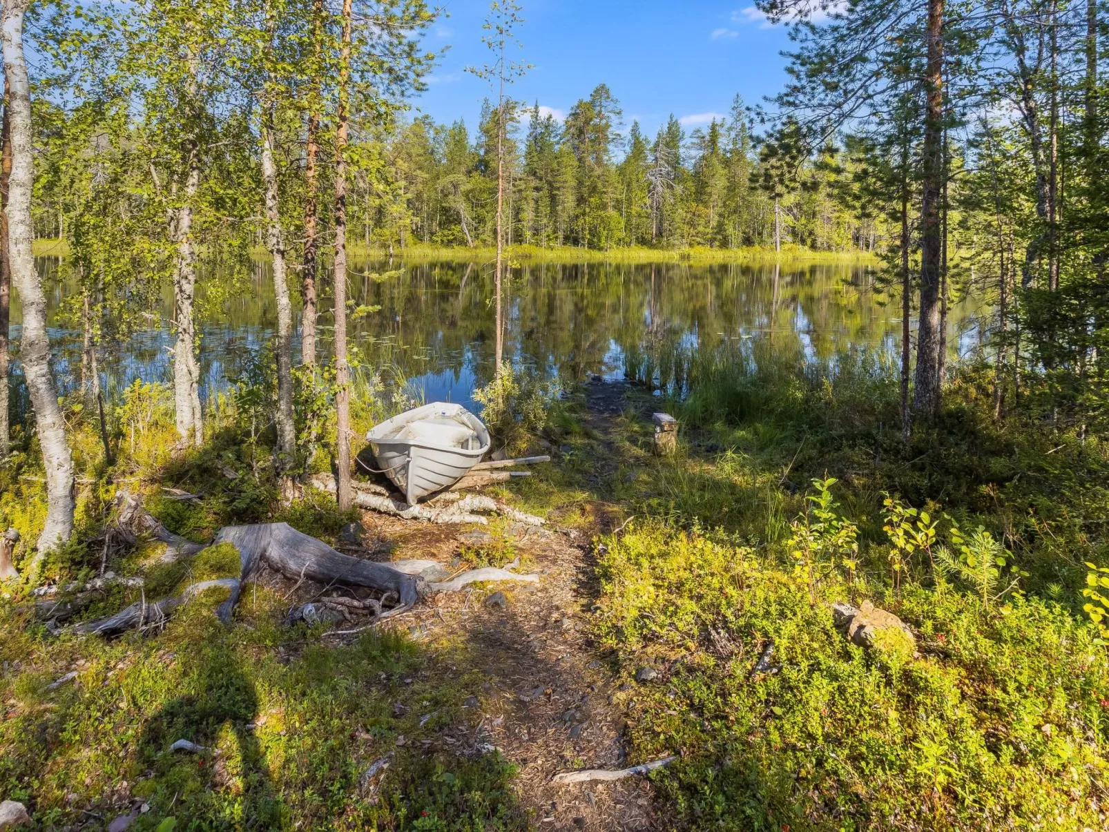 Kiehtäjän kuohu-Dehors
