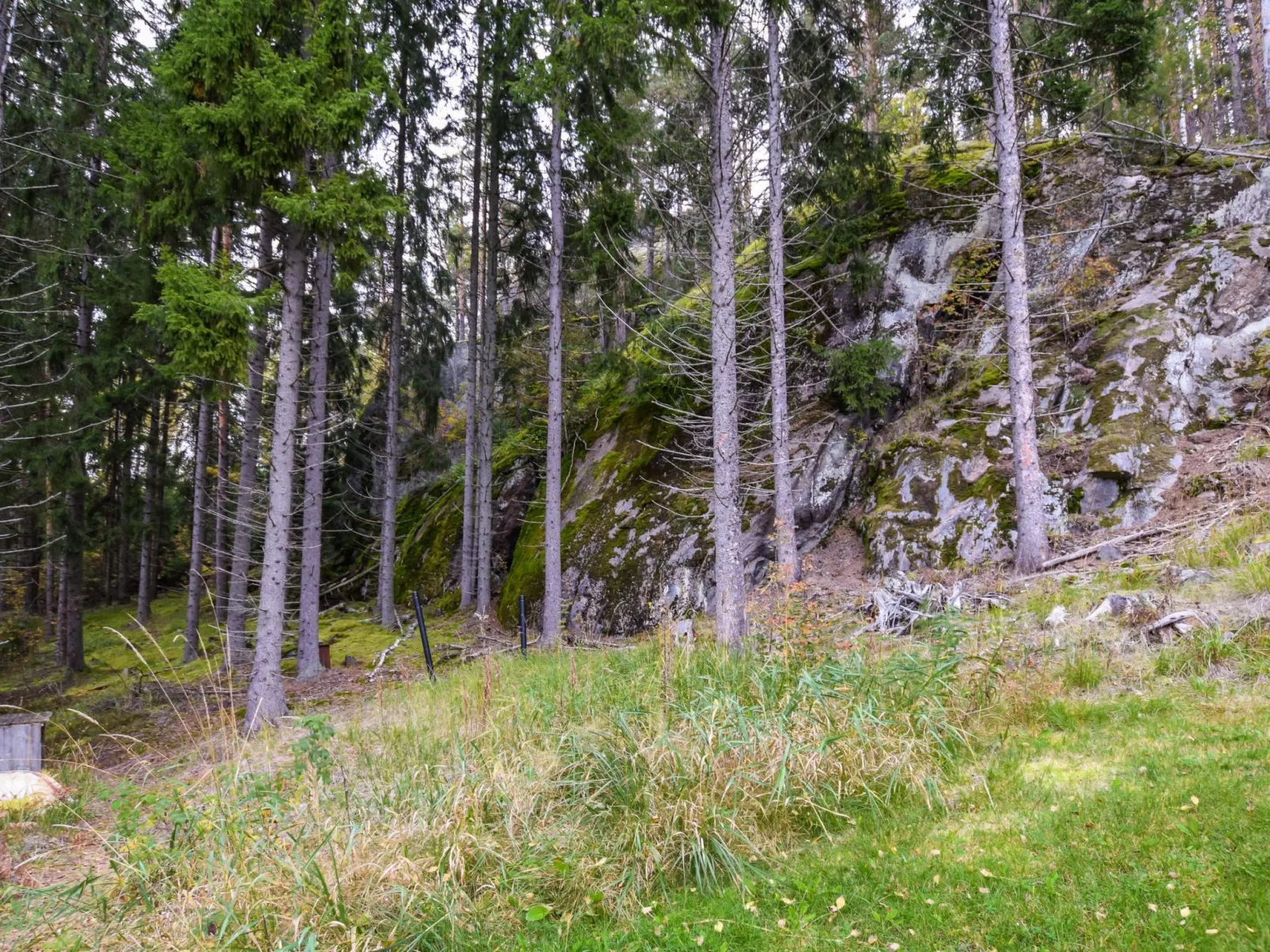 Vuorimaja-Draußen