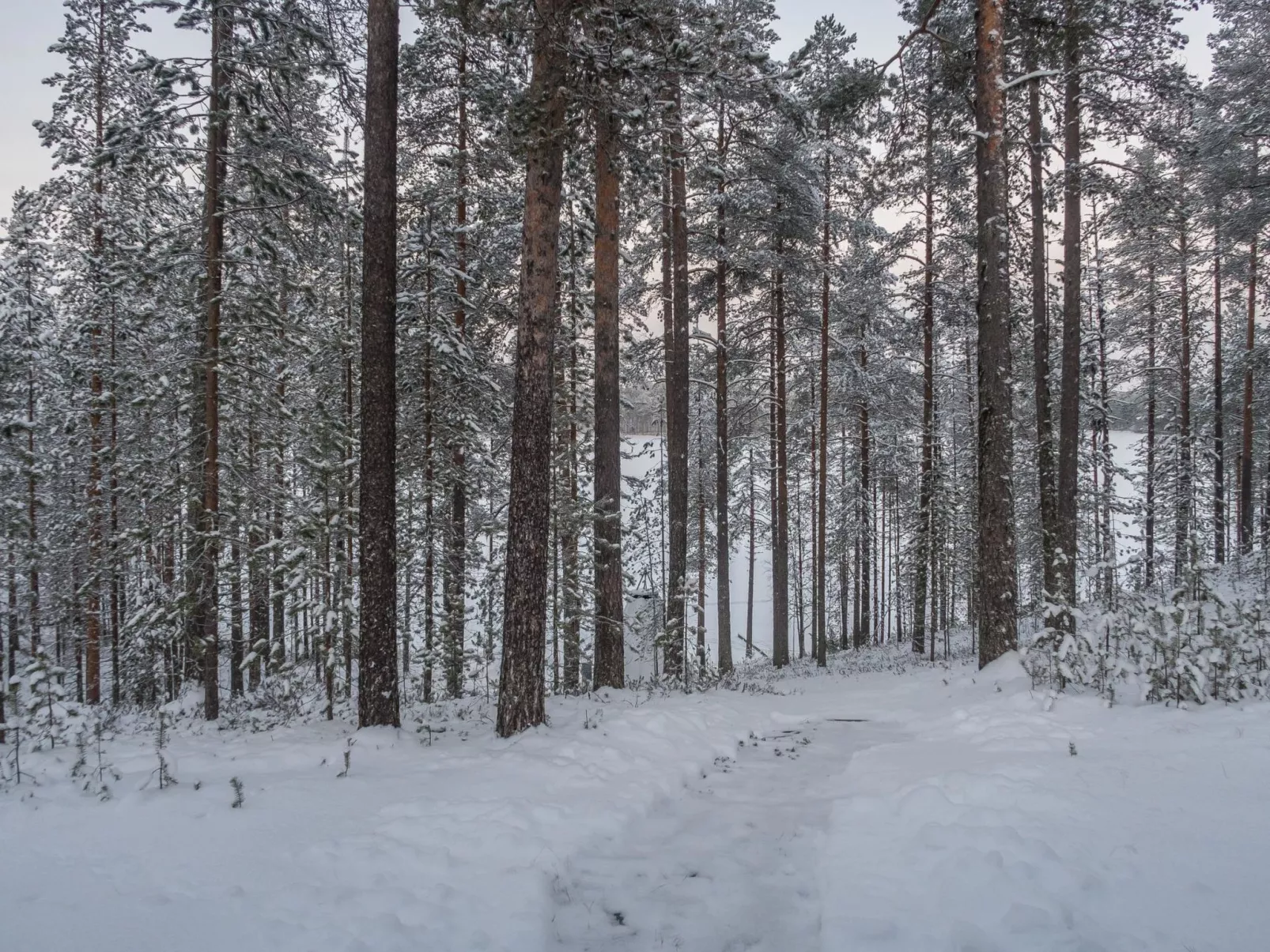 Mäntylä a-osa-Draußen