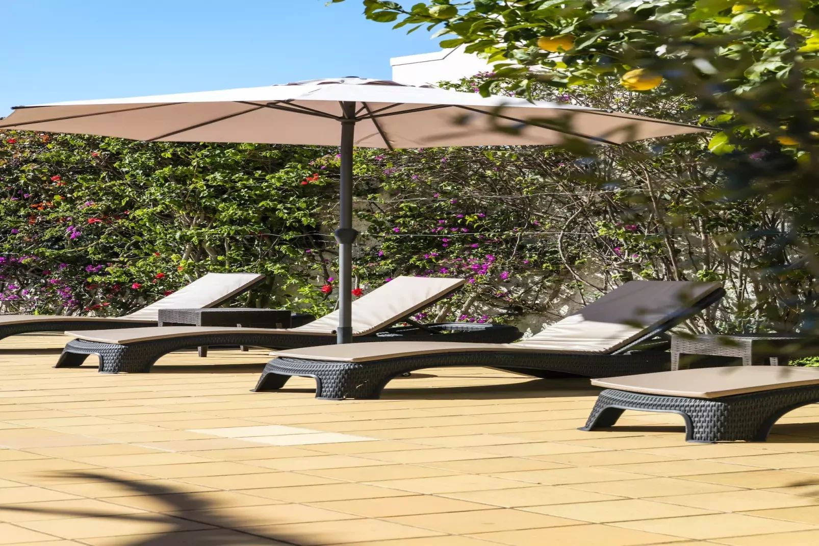 The Palm House - Townhouse at Vale de Milho golf-Terrace