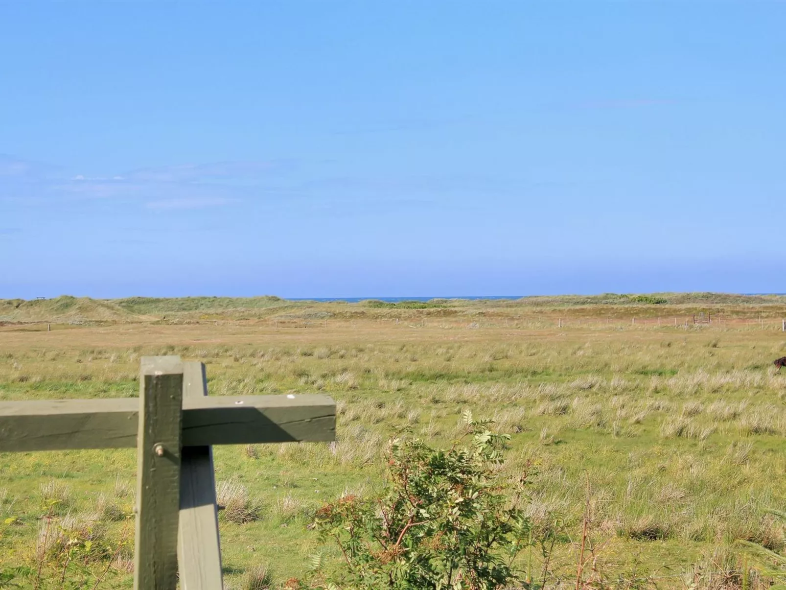"Annick" - 300m from the sea-Outside
