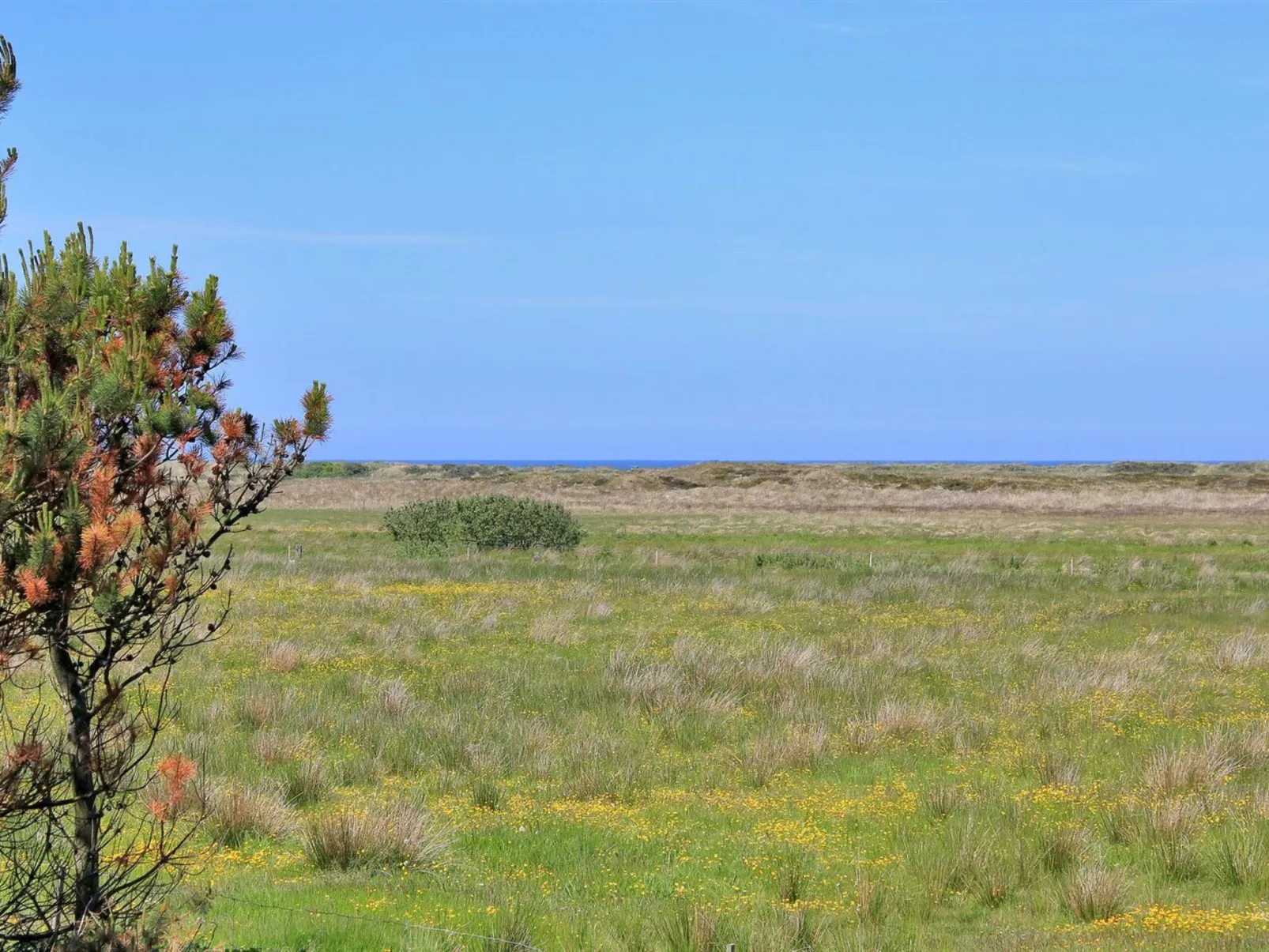 "Annick" - 300m from the sea-Outside