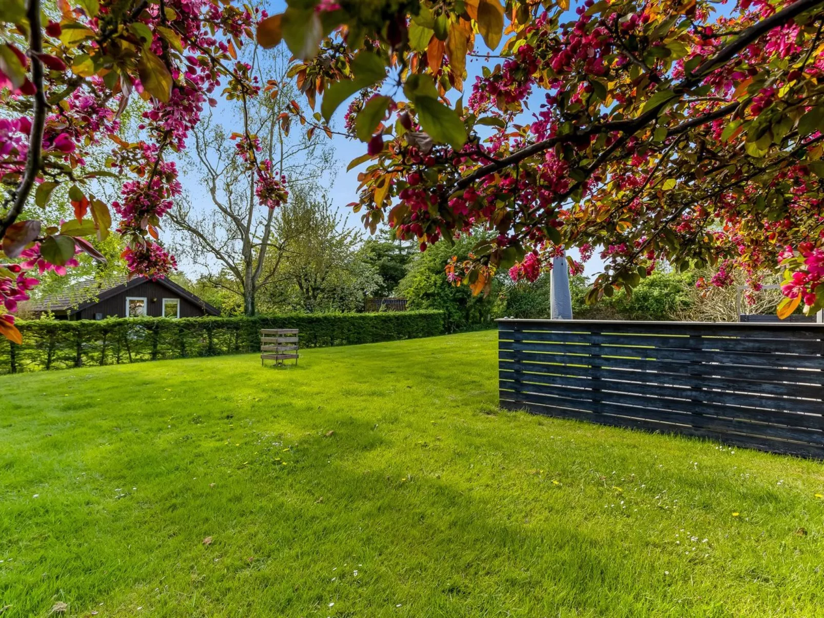 "Prohor" - 150m from the sea-Draußen