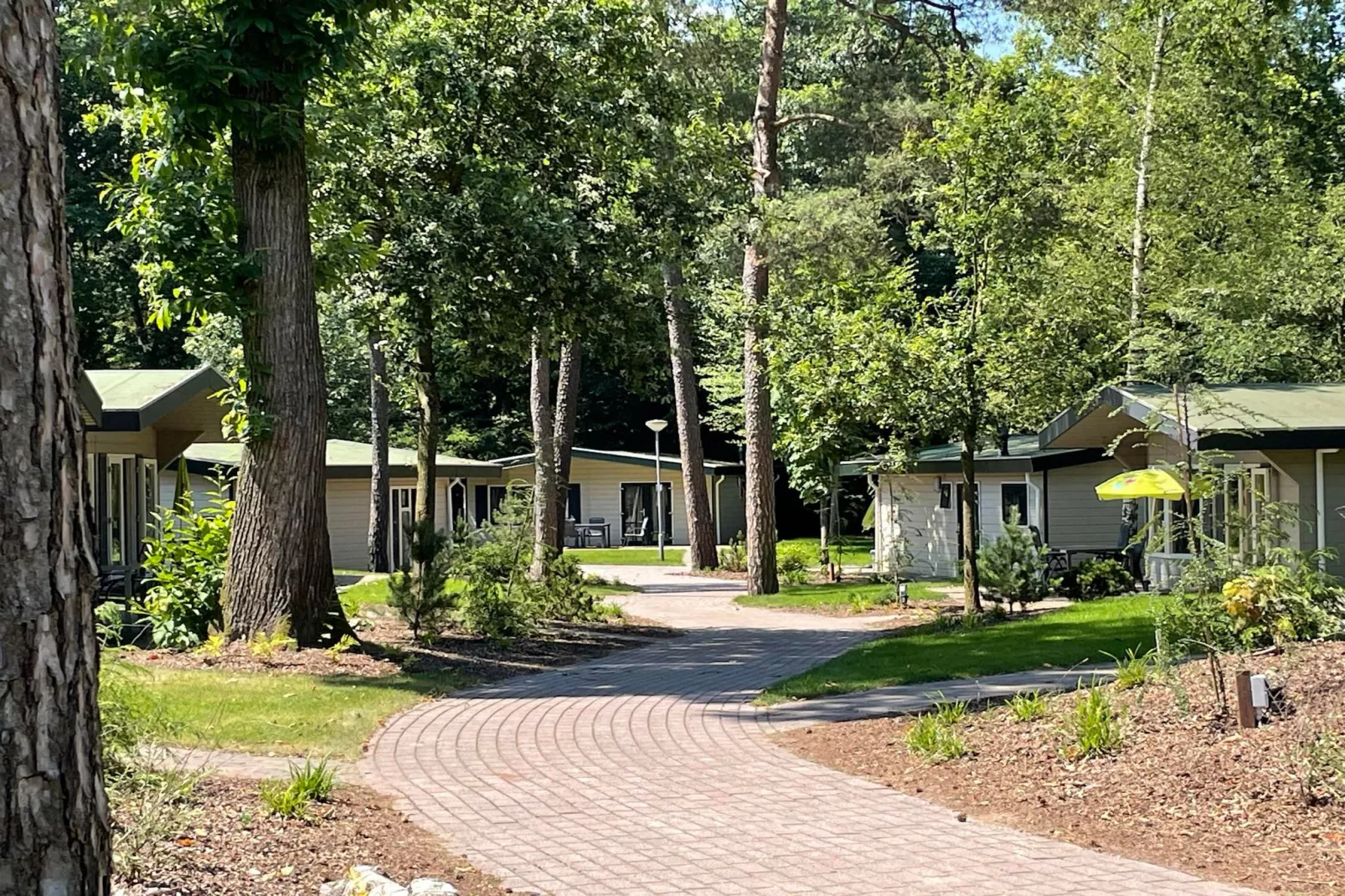 Bungalow Chalet+ | 2 - 4 people-Areas summer 1km
