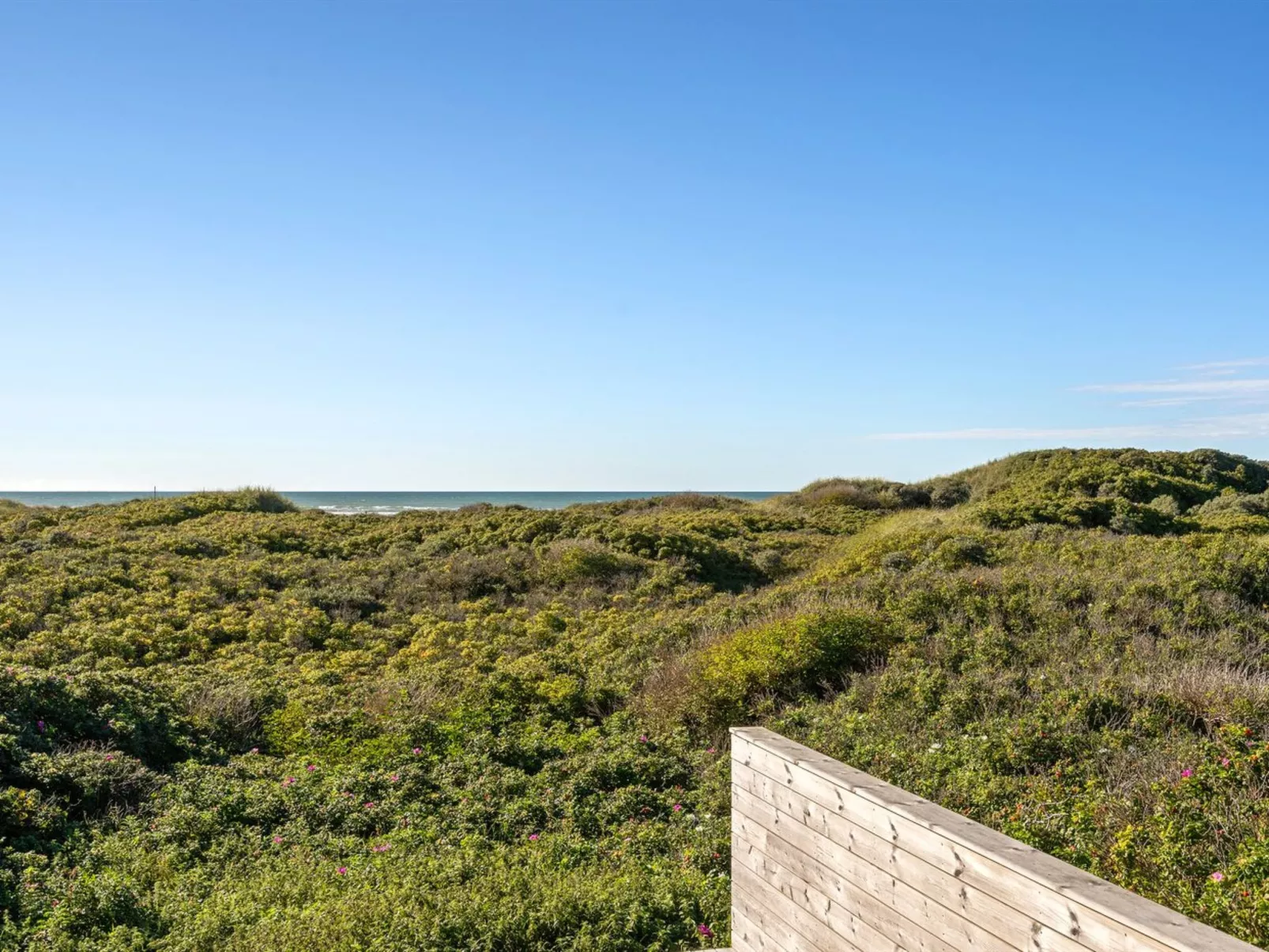 "Rauli" - 50m from the sea-Dehors