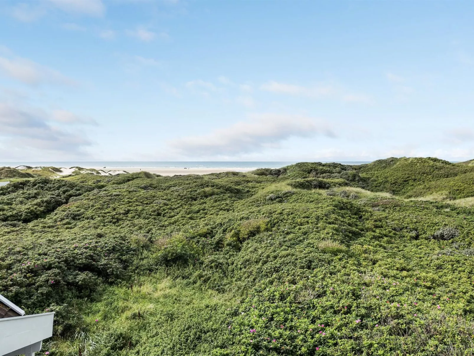 "Rauli" - 50m from the sea-Dehors