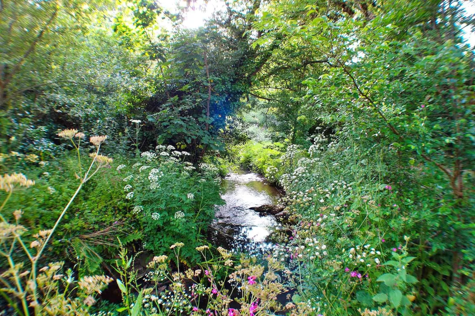 Porthcothan Mill Cottage-Outdoor