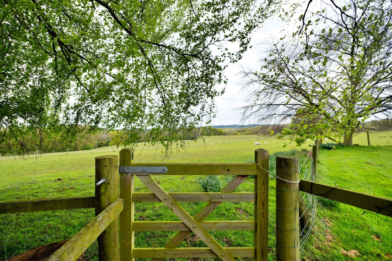 Hay and Hedgerow Glamping-Gardens summer