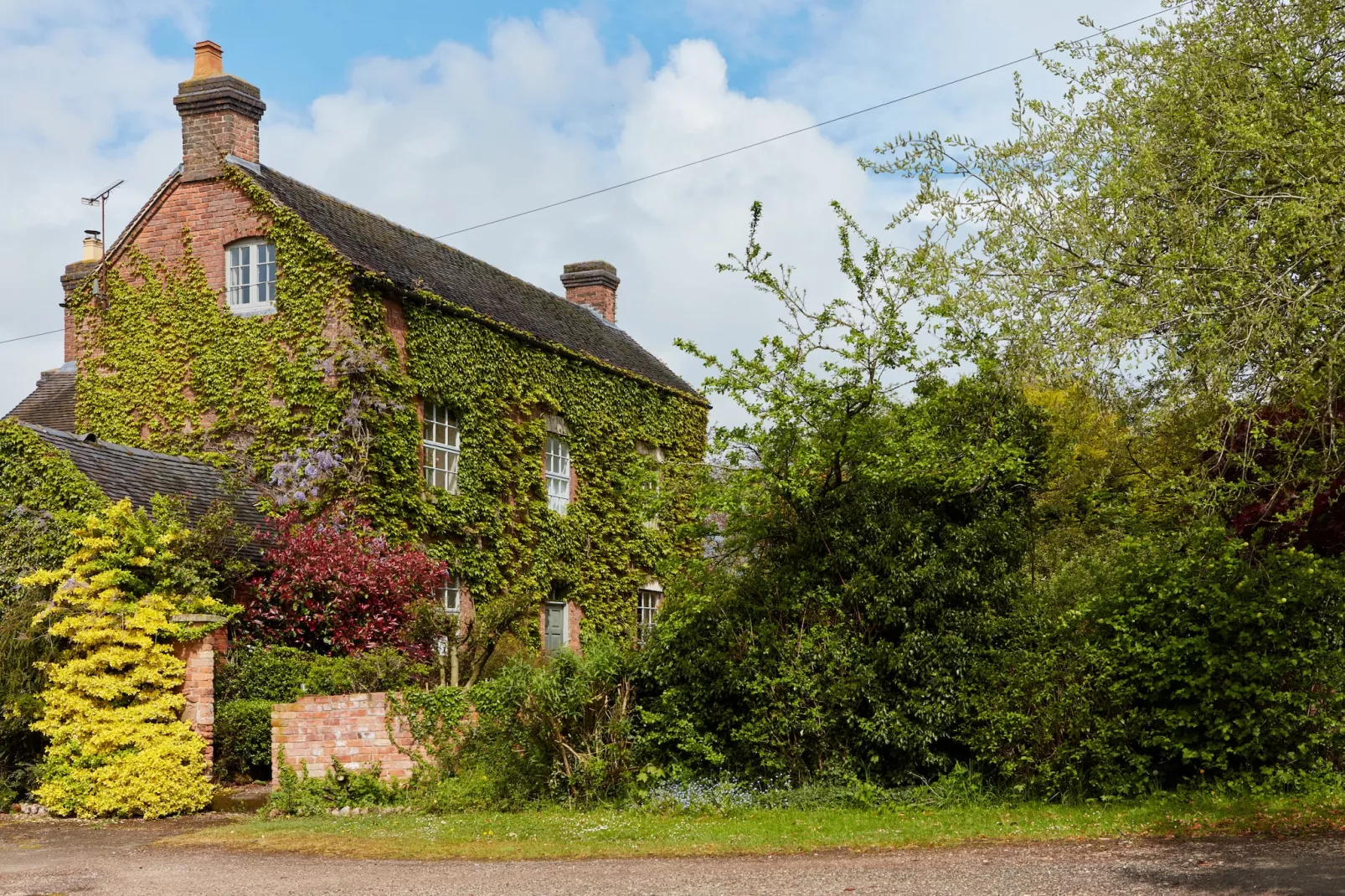 Nether Burrows Farm-Outdoor