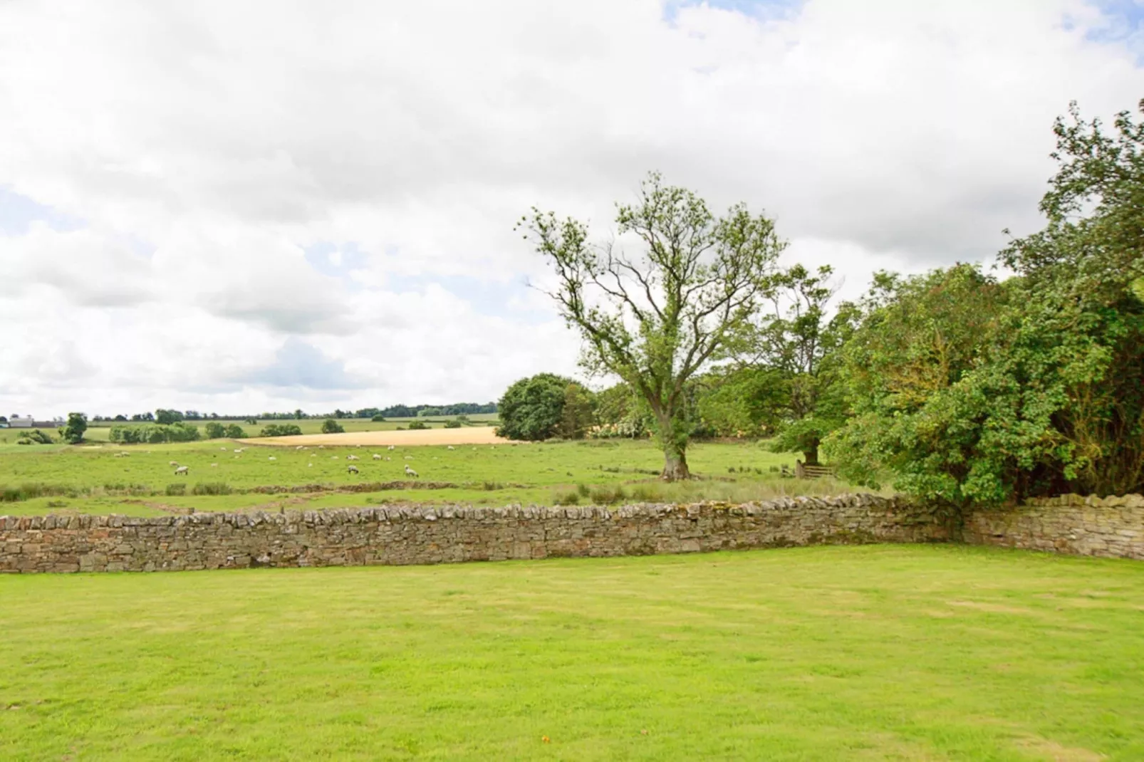 The Cottage, Shortflatt Farm-Gardens summer