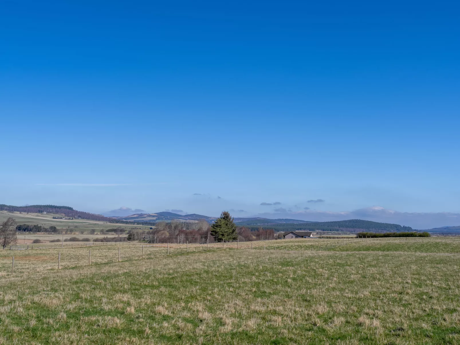 Capercaillie Lodge-Outside