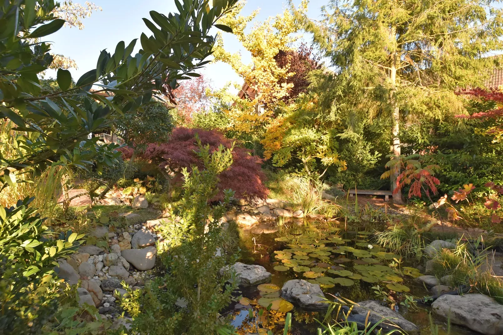 Severin-Jardin d'été
