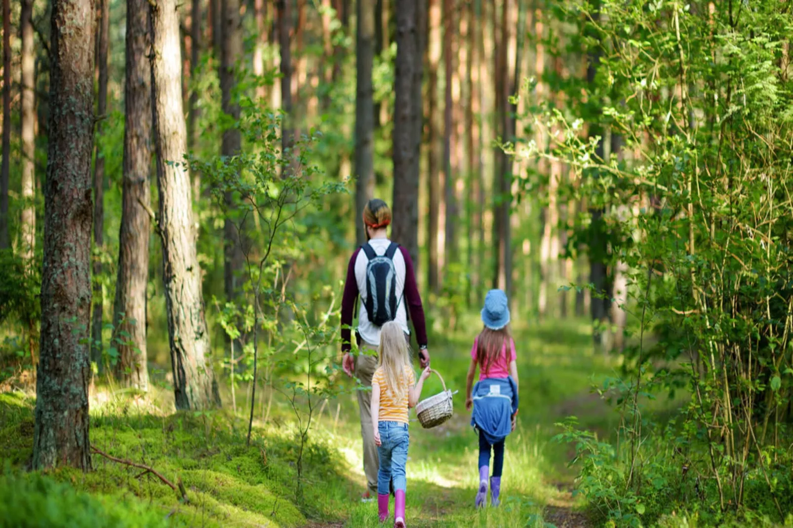 Premiumchalet bis 2 Pers-Gebiete Sommer 5 km