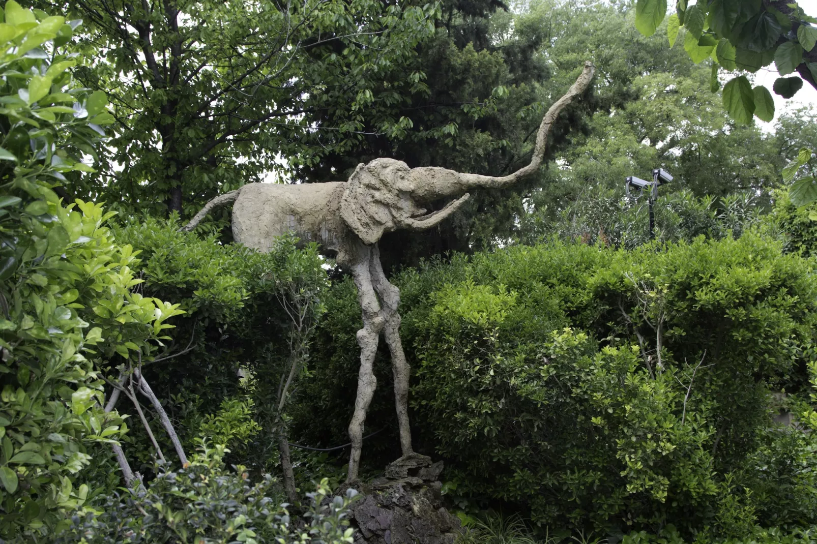 Vall Repos-Jardin d'été