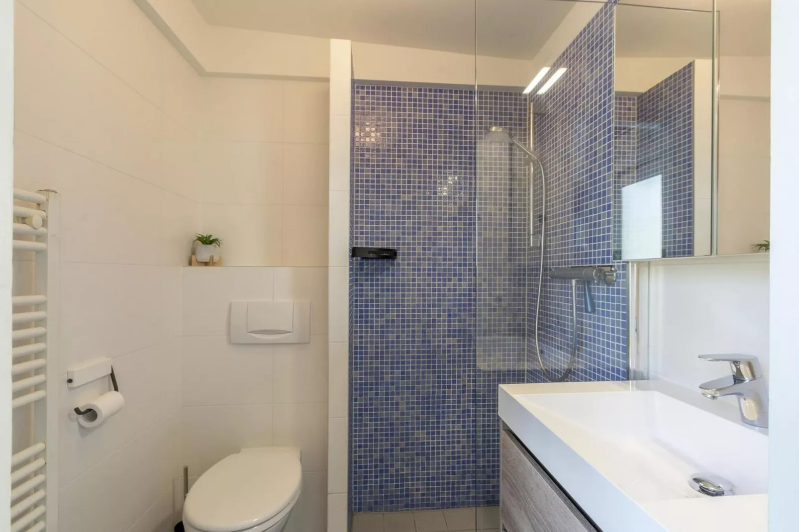 Duinland 197-Salle de bain