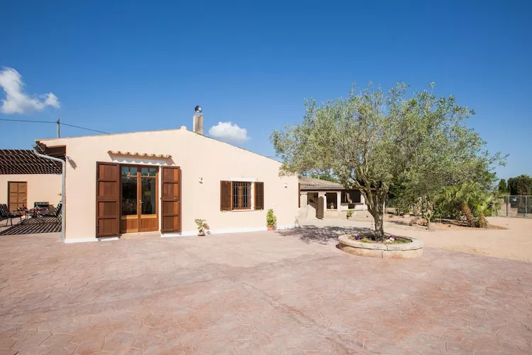Shostalet-Exterior summer