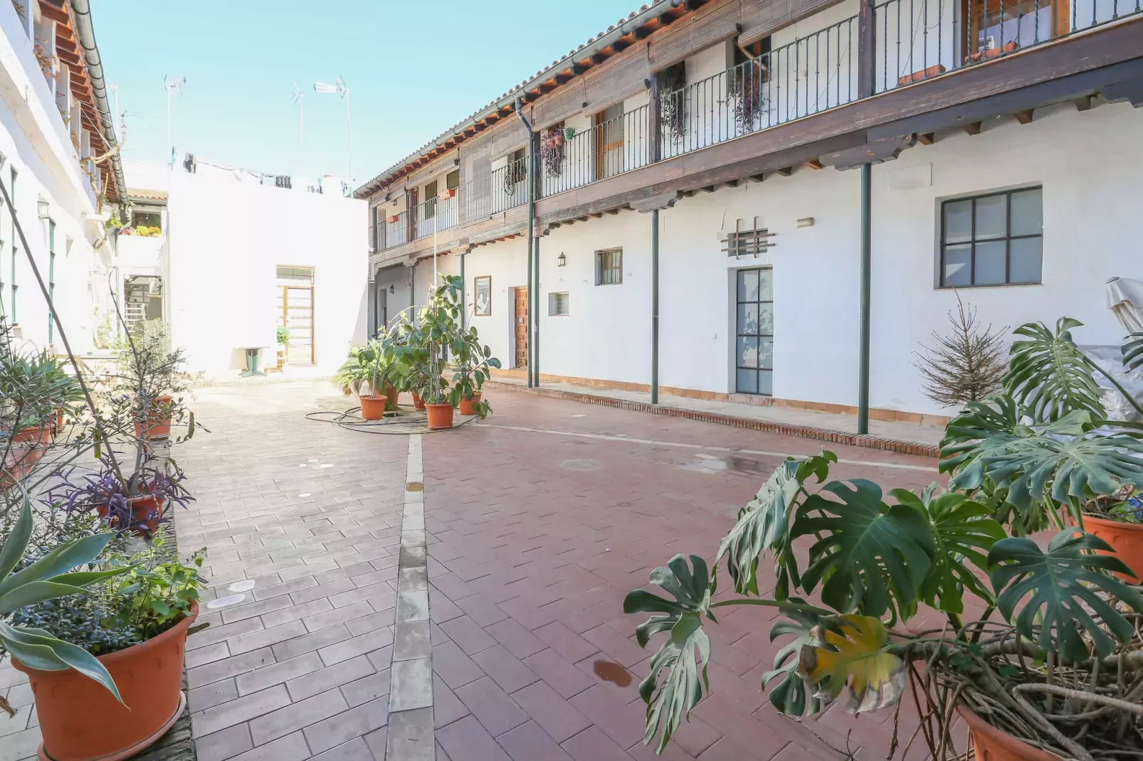 Alameda De Hercules