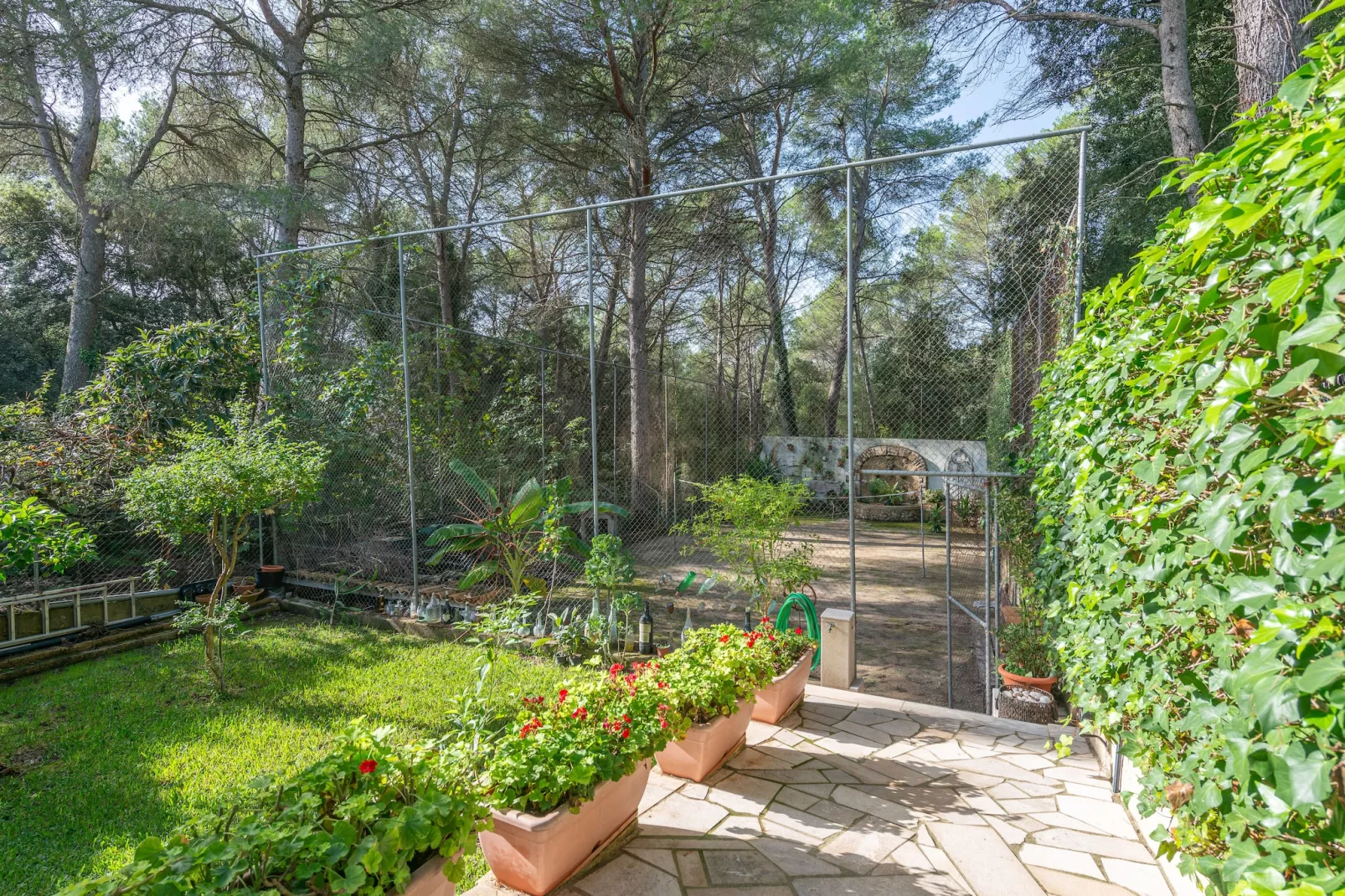 Ca Na Carmen (crestatx)-Jardin d'été
