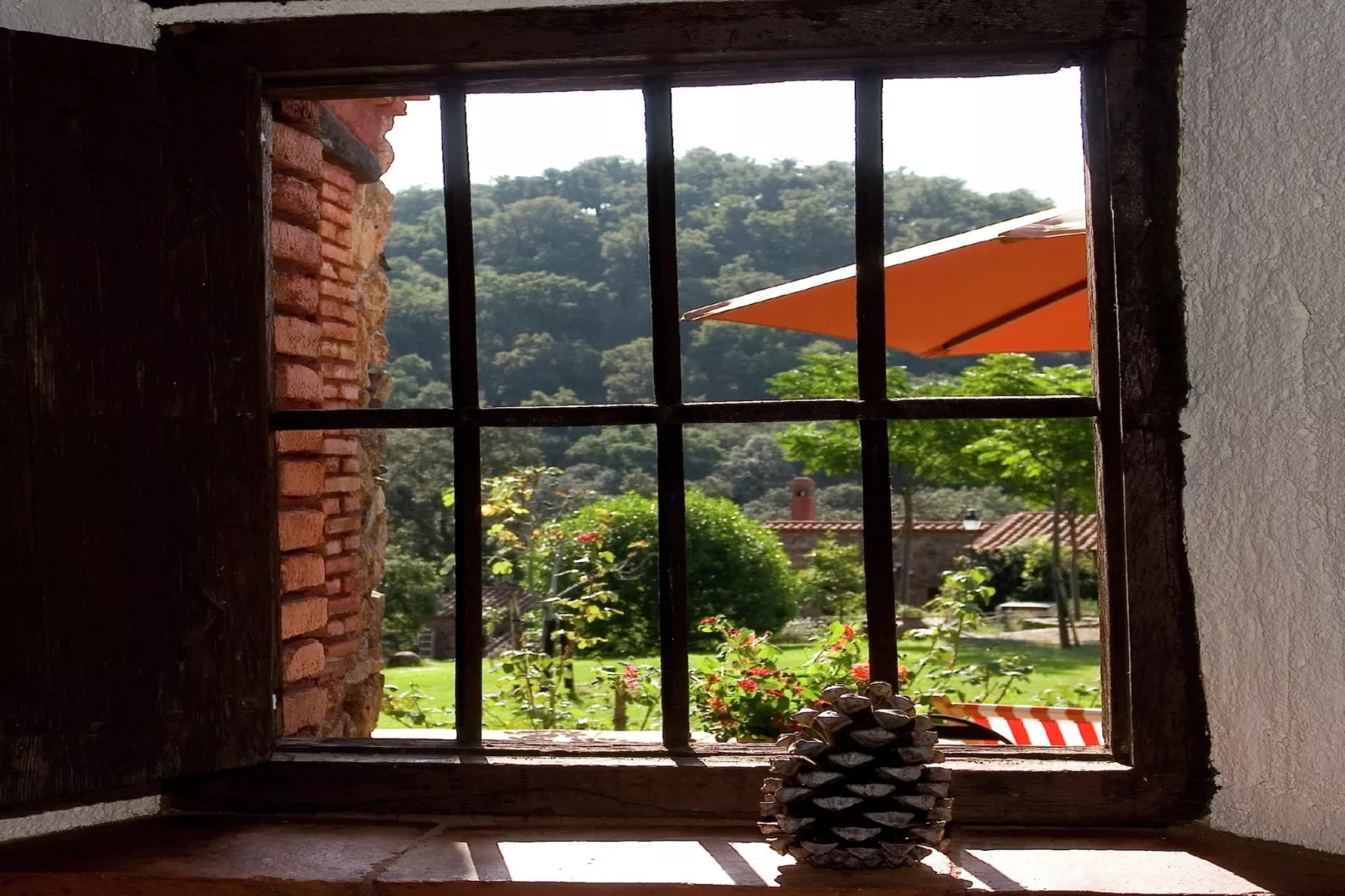 The Stork-View summer