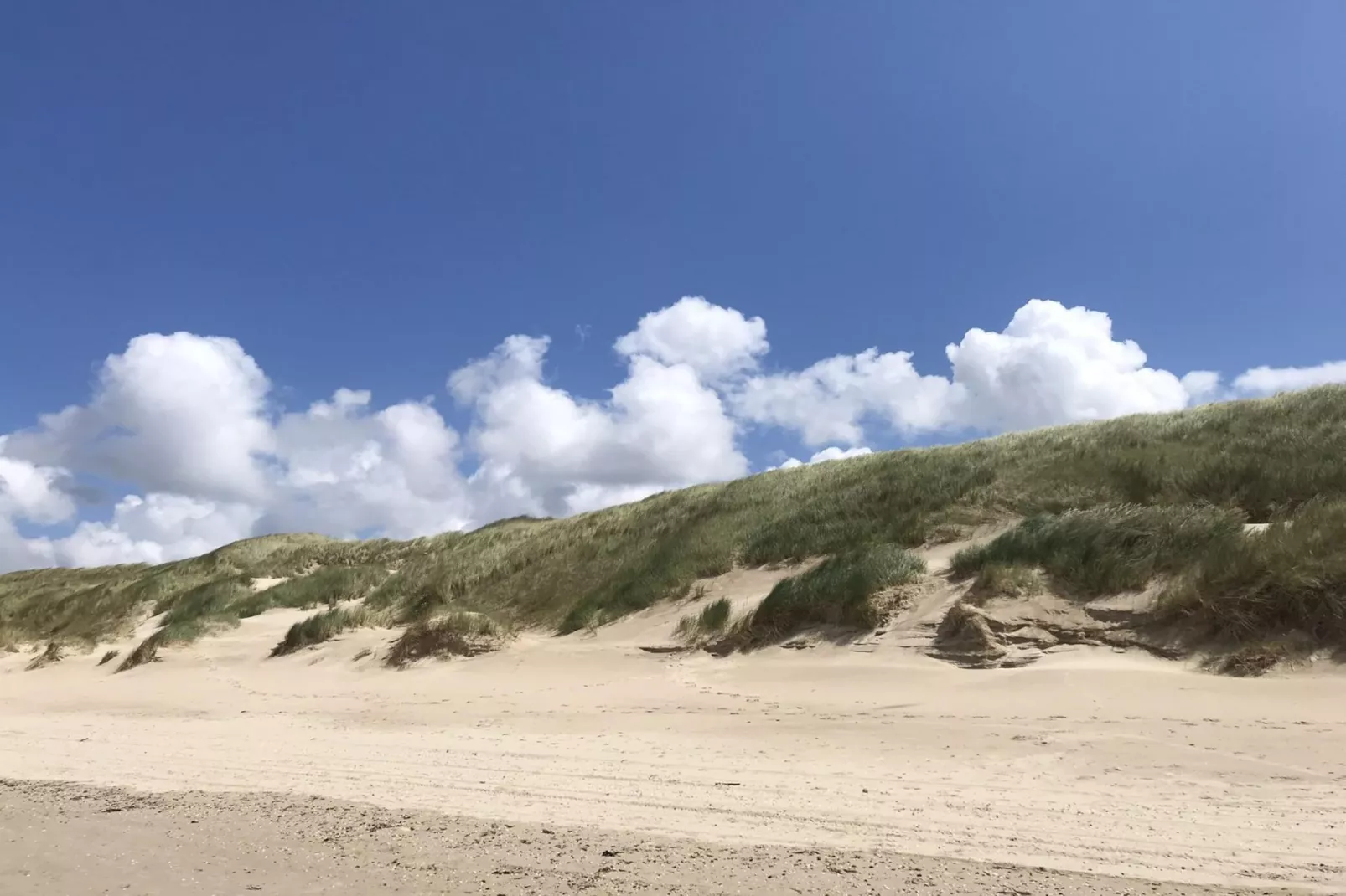 De Wielen 73-Areas summer 5km