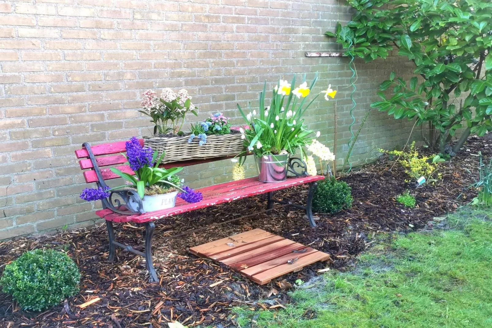 Wildrijk 108-Gardens summer
