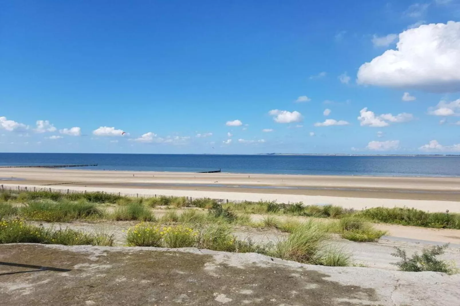 Het Platte Putje - Huisdier - nr 2-Areas summer 20km
