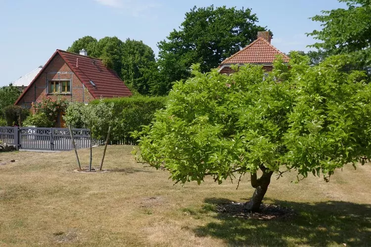 FH Sturmfrei-Gardens summer