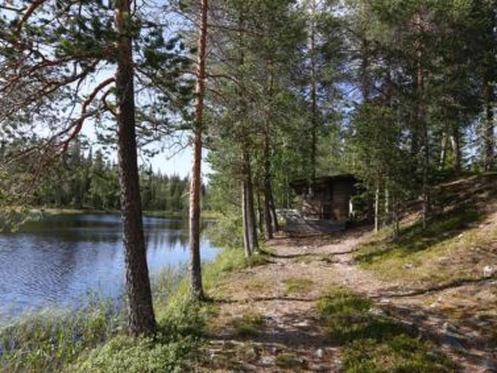 Metsä-luosto-Dehors