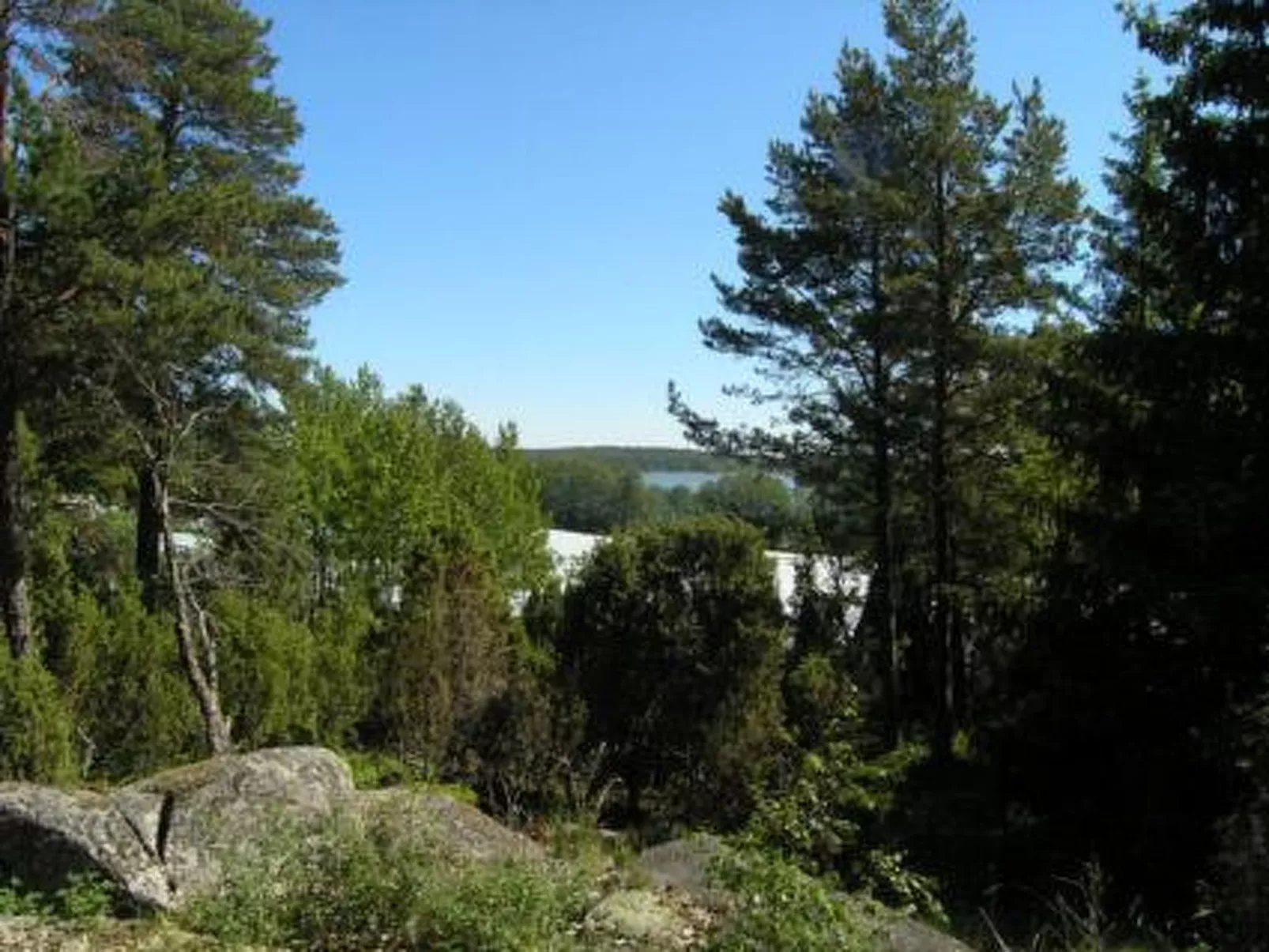 Metsämarja-Draußen