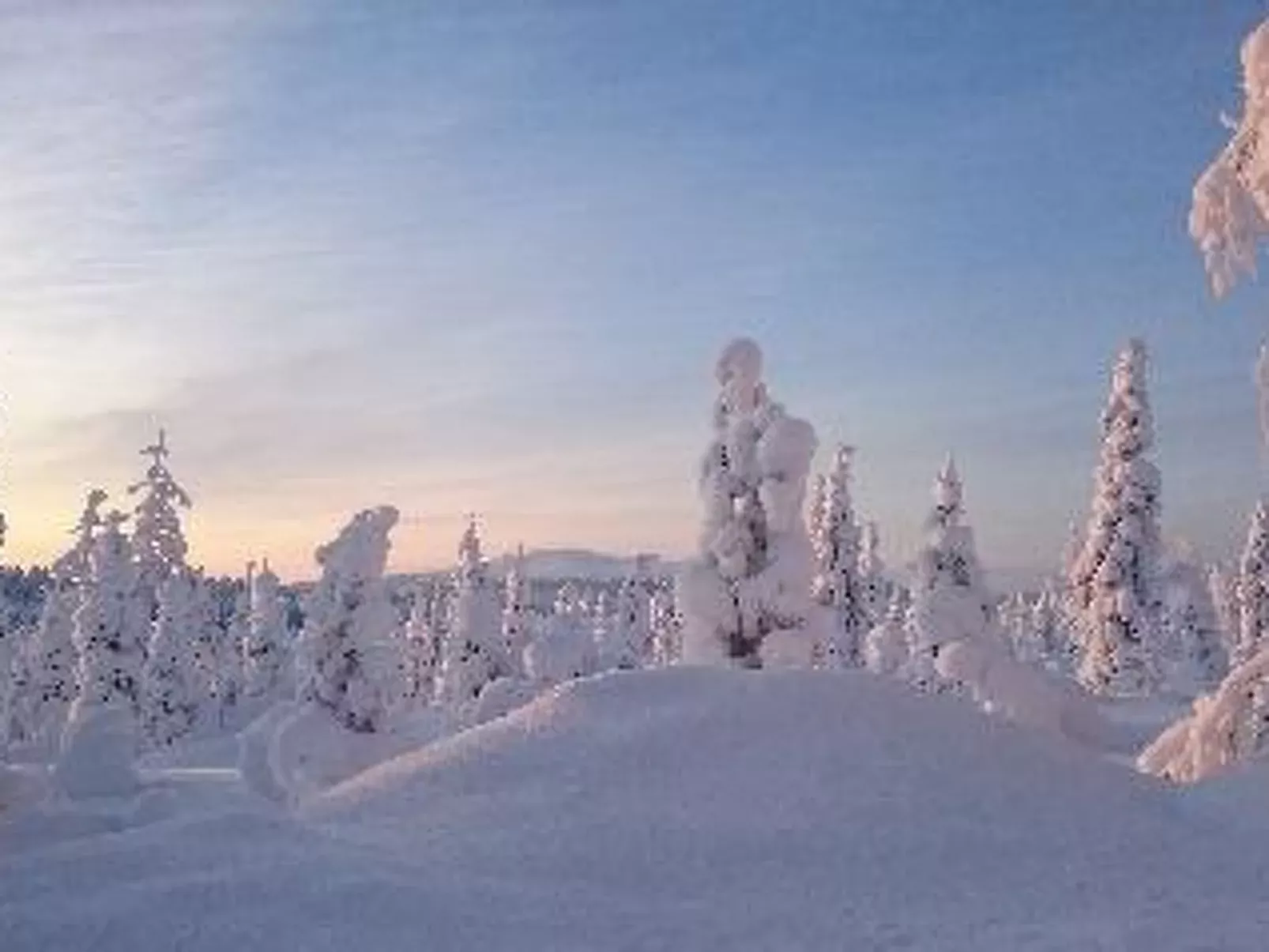 Yllästar 3 as 601-Dehors