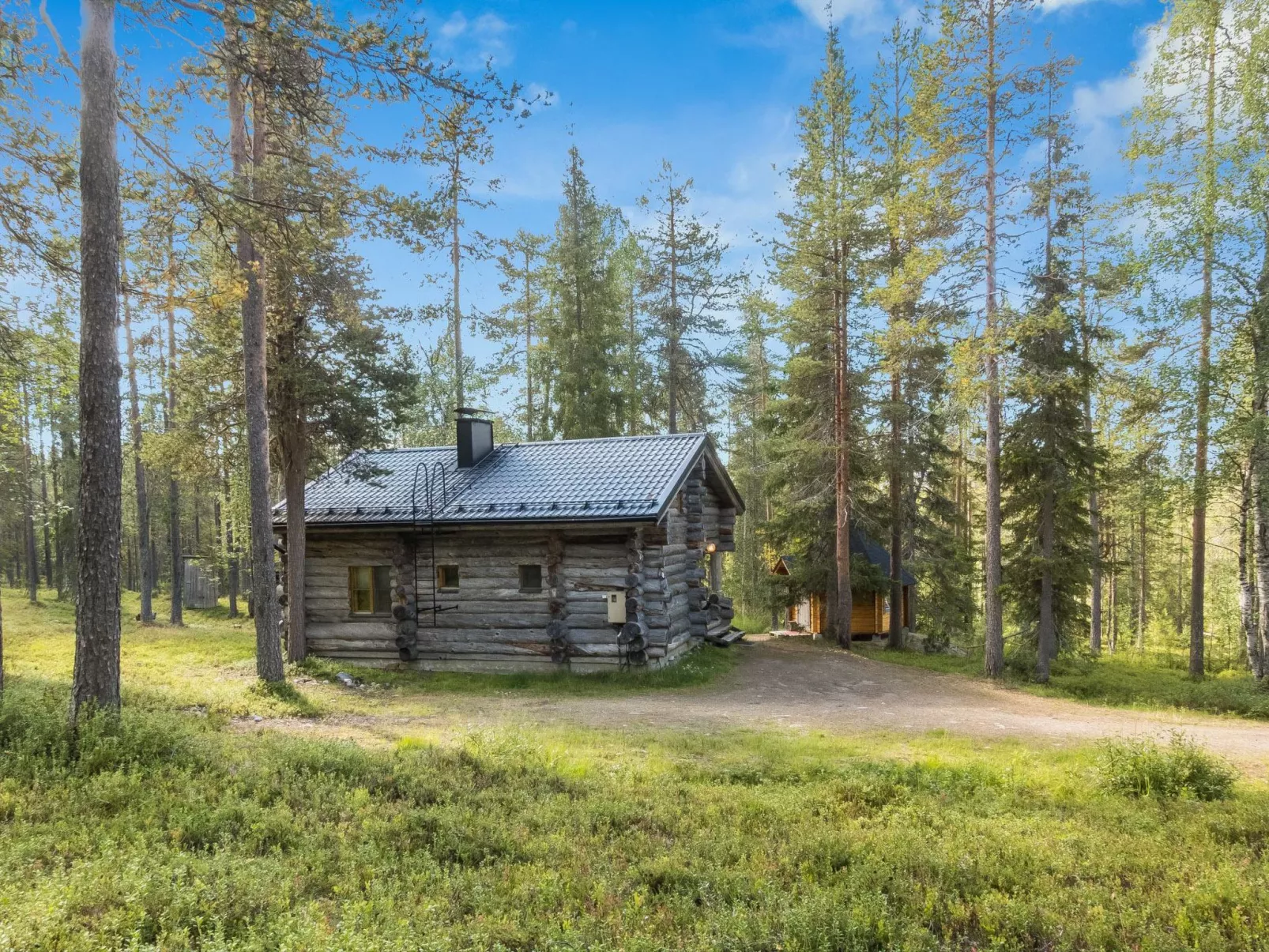 Ukkohermanni-Outside