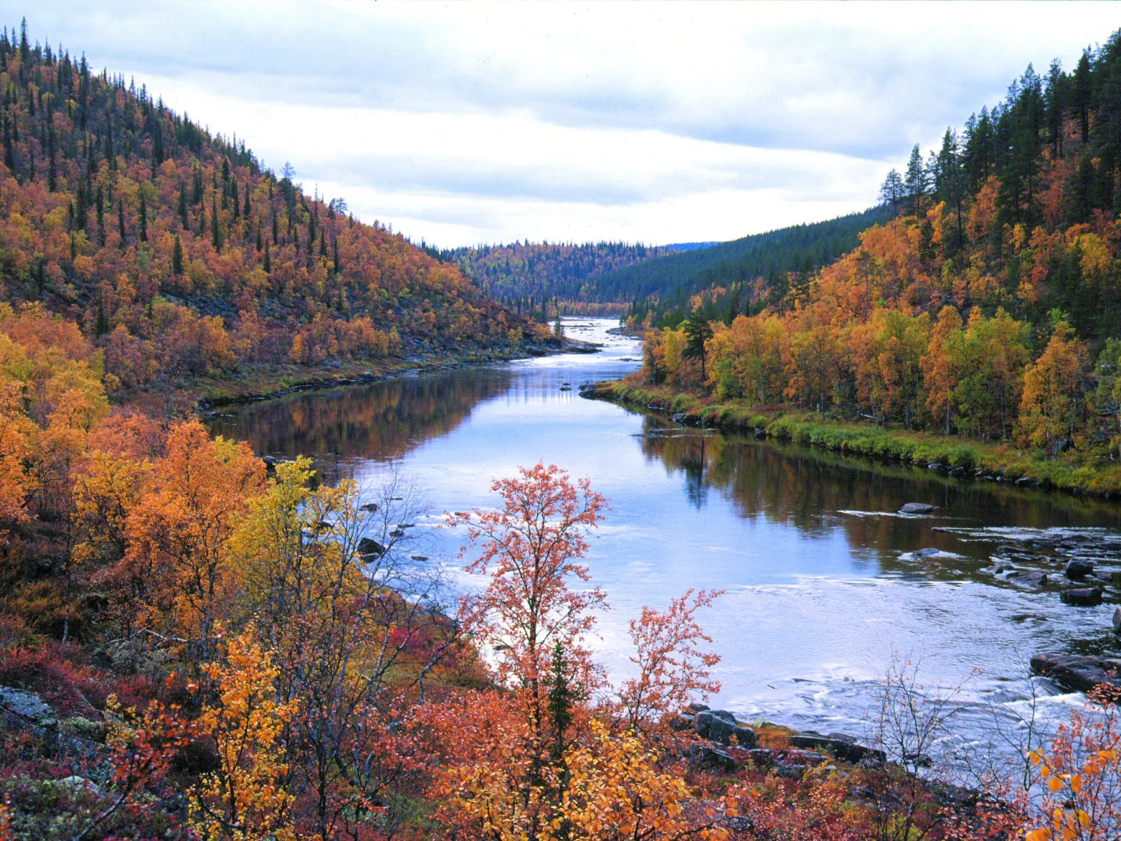 Välitalo-Area